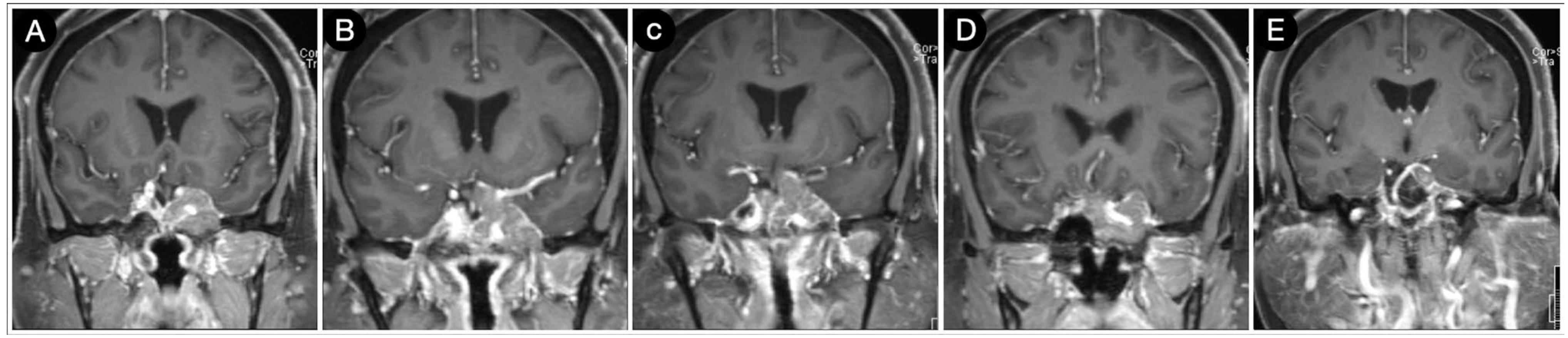 Cancers 15 02235 g020 Cancers 15 02235 g020