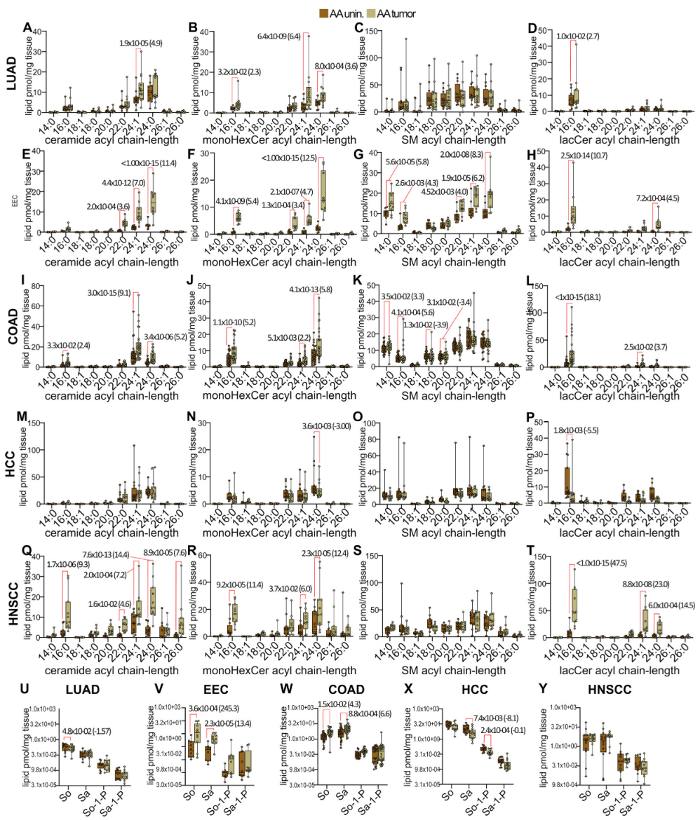 Cancers 15 02238 g002