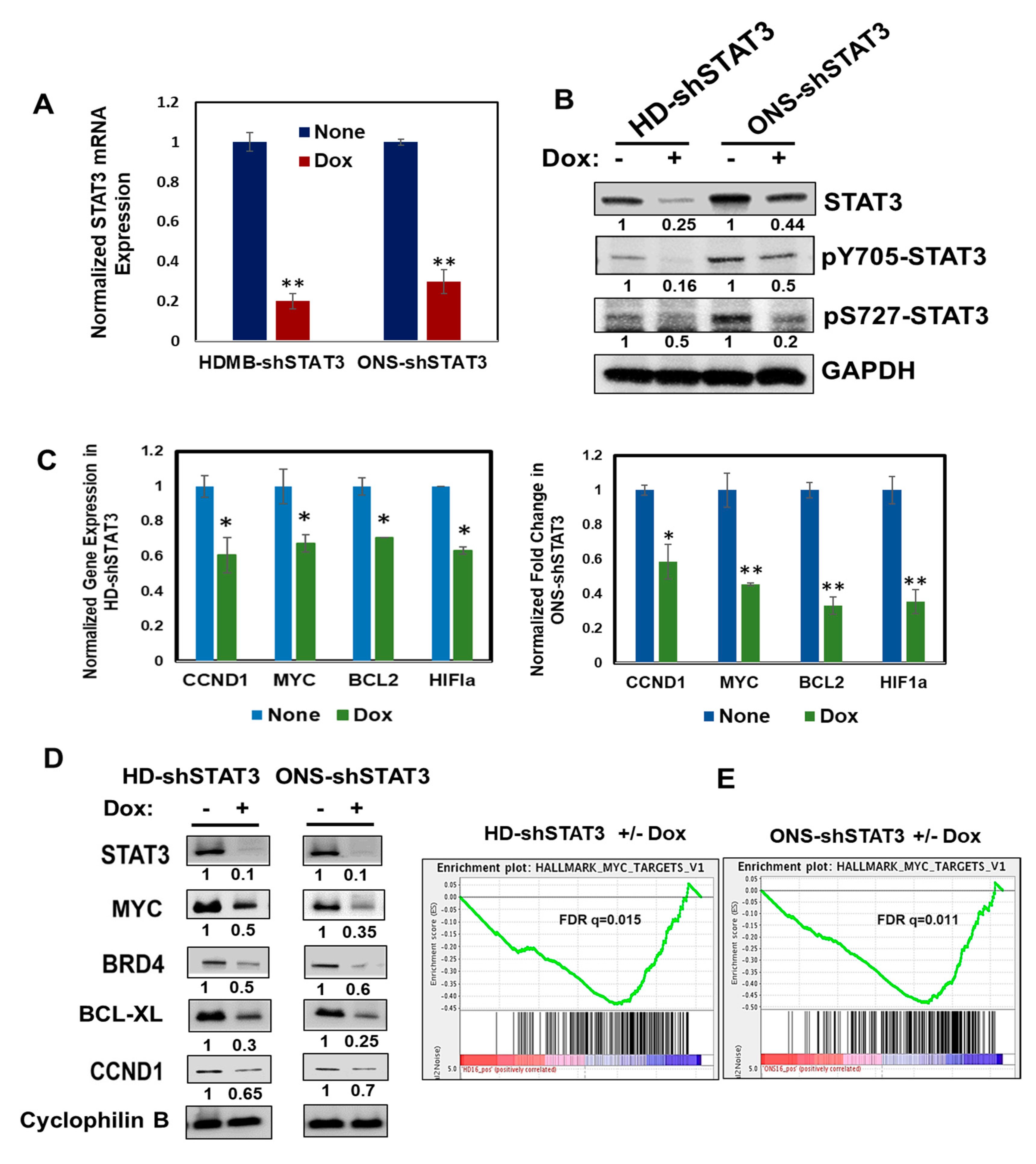 Cancers 15 02239 g001