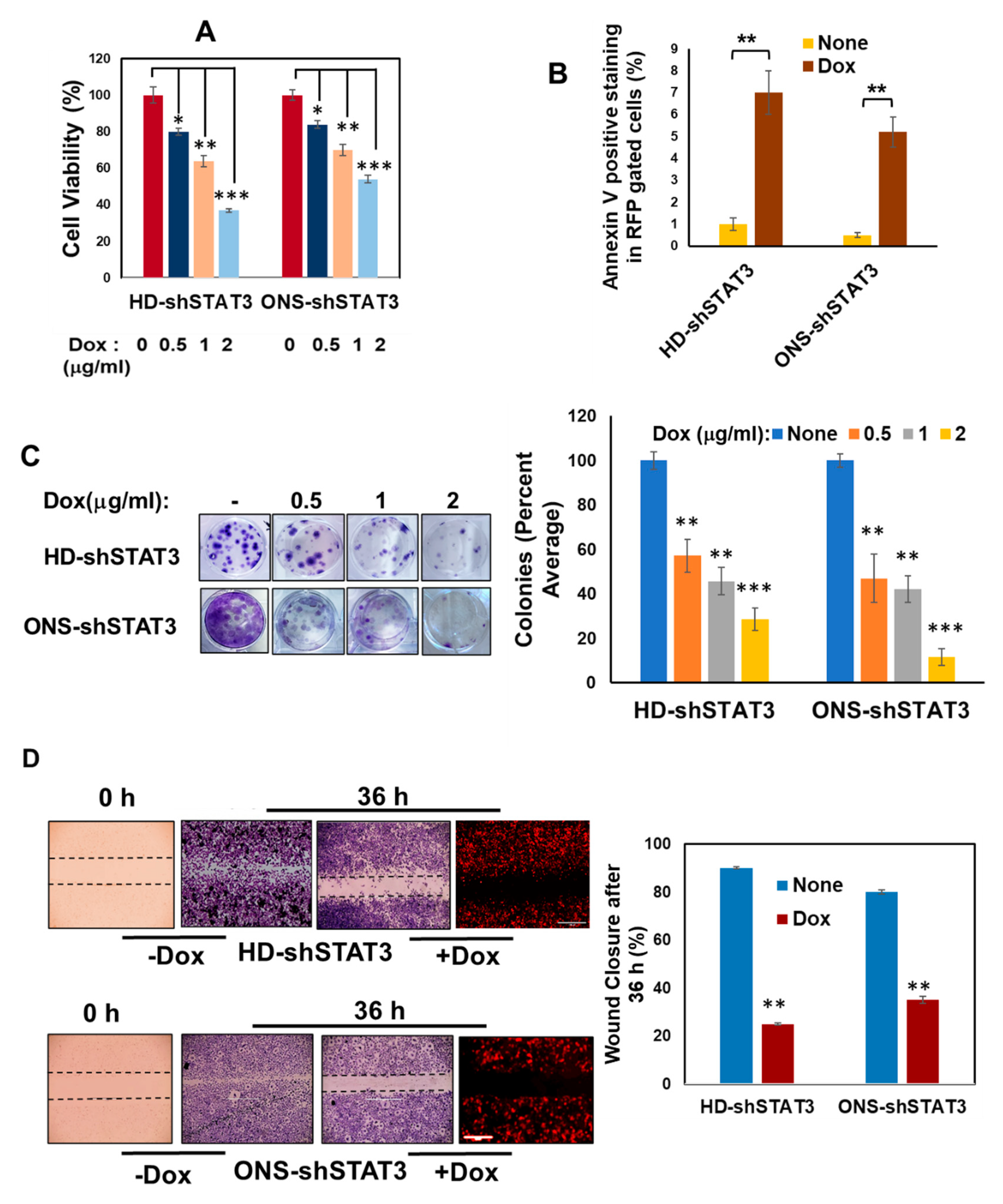 Cancers 15 02239 g002