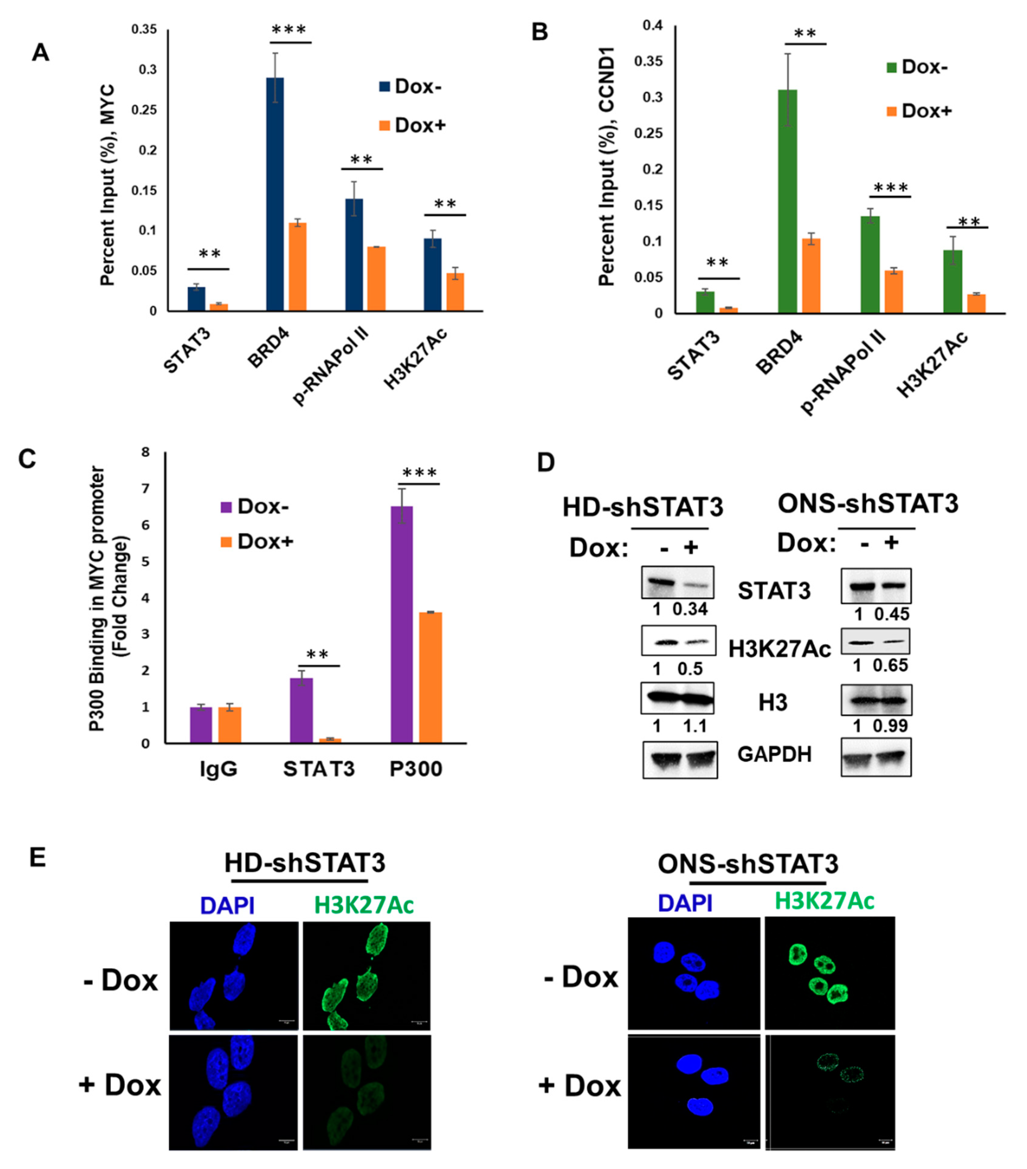 Cancers 15 02239 g004