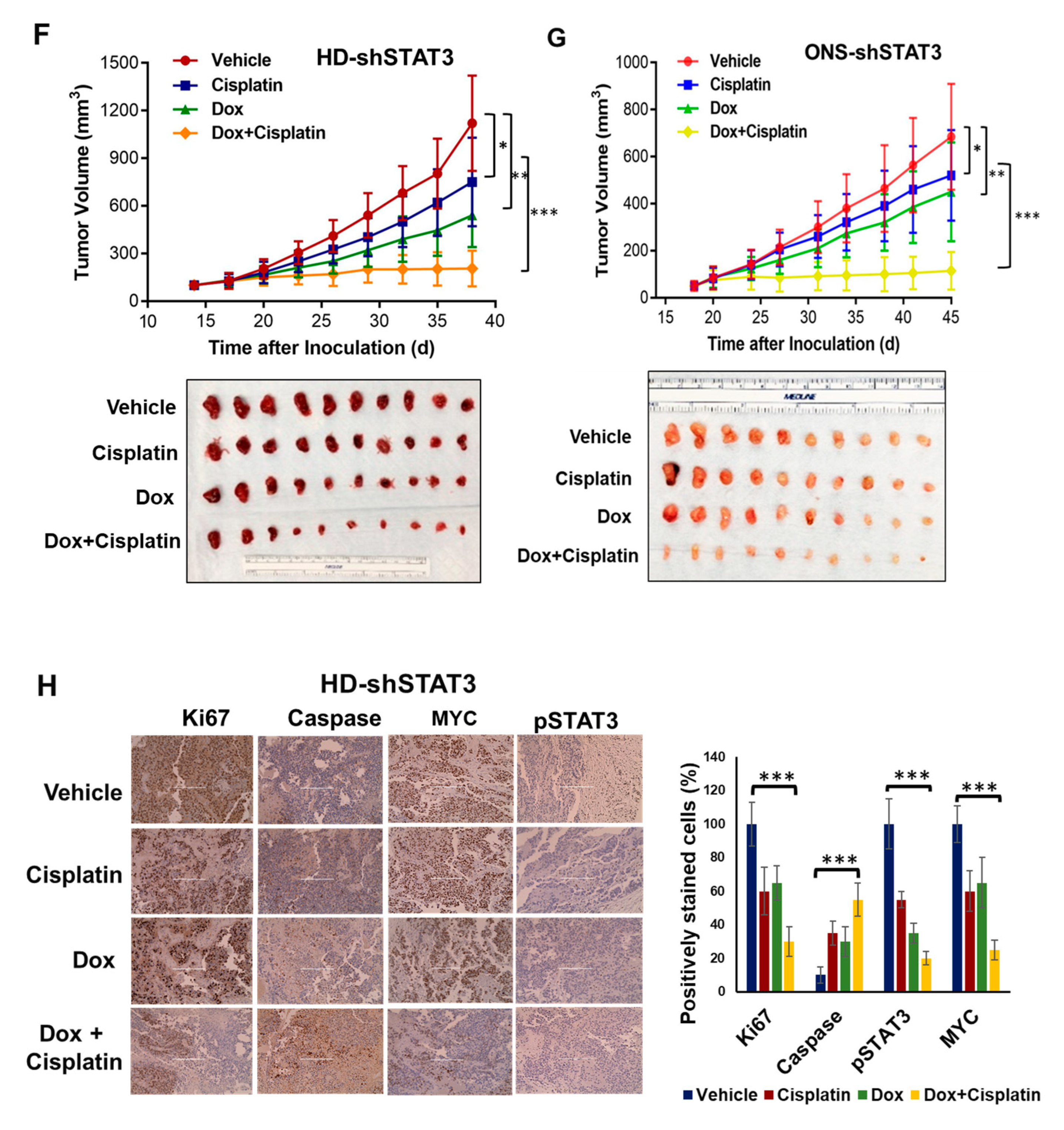 Cancers 15 02239 g005b