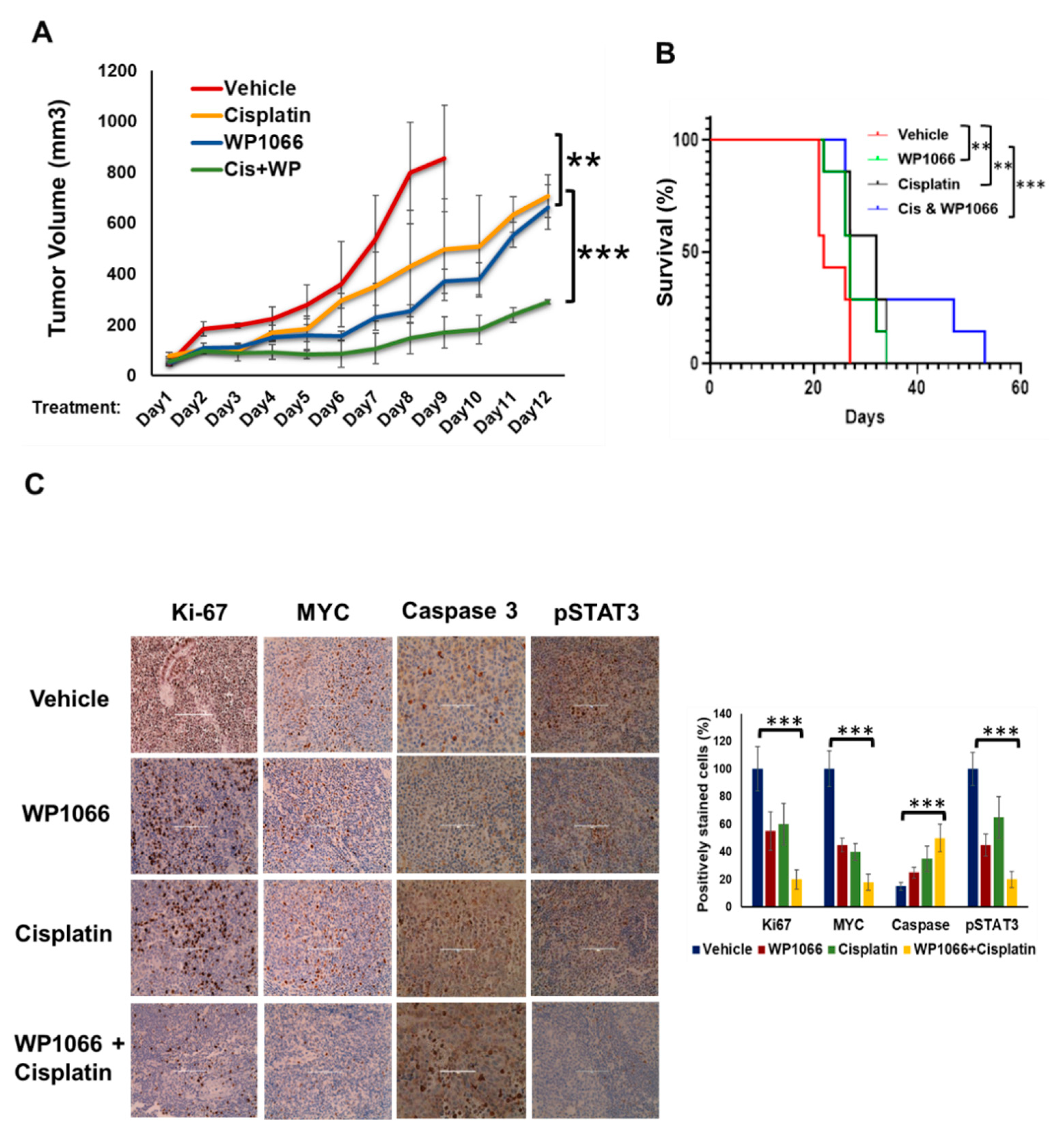 Cancers 15 02239 g006a