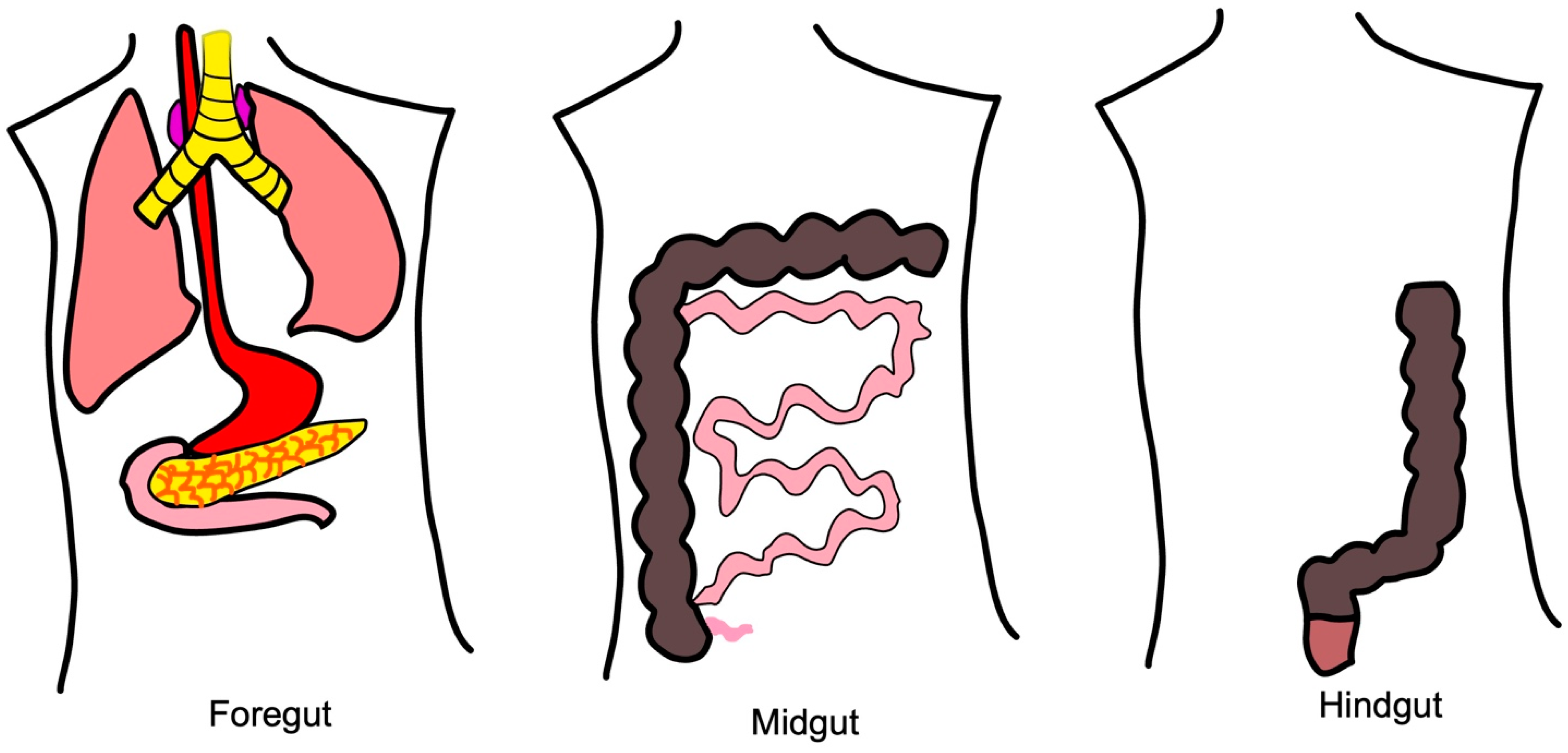 Cancers 15 02249 g001 Cancers 15 02249 g001