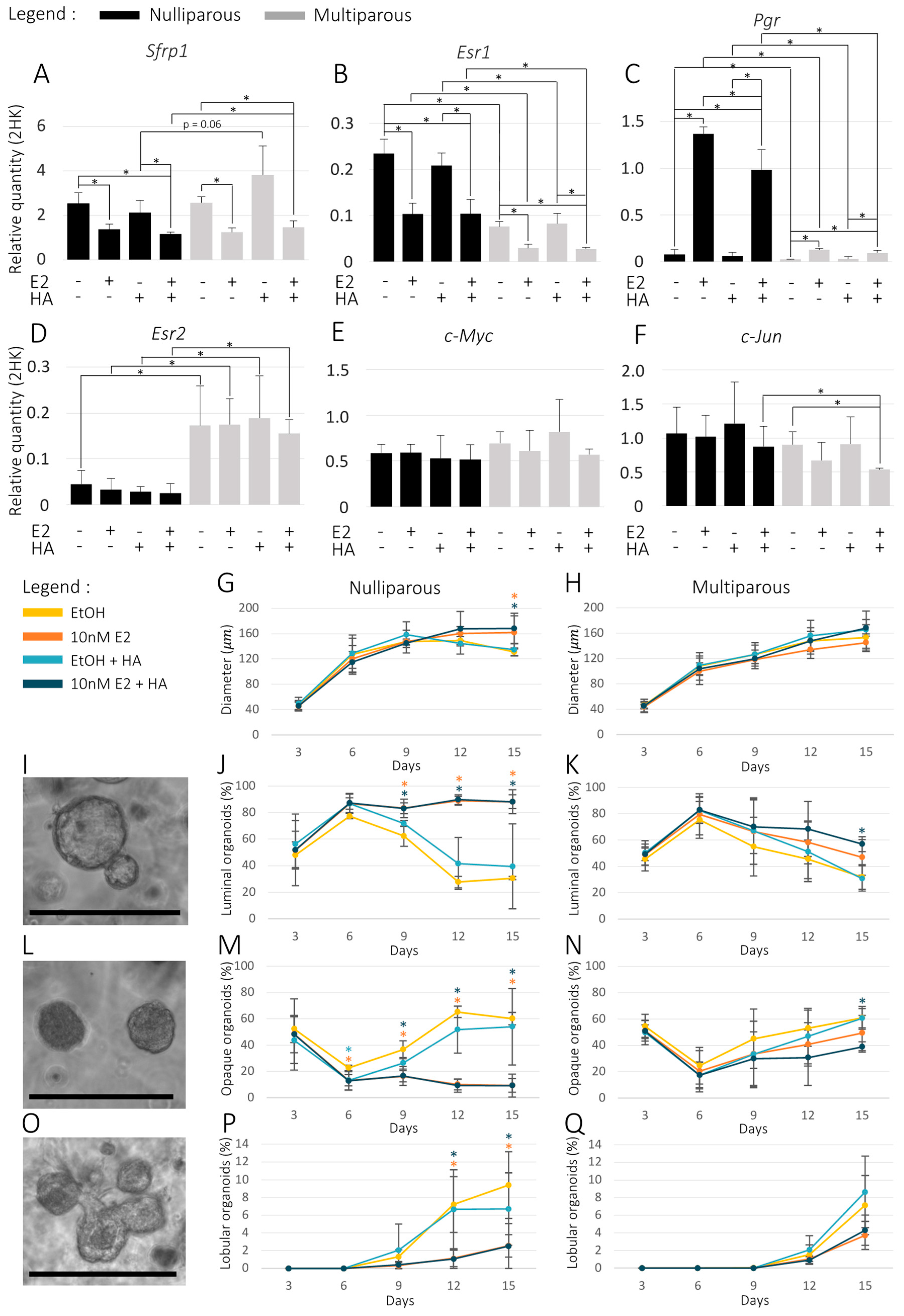 Cancers 15 02251 g002
