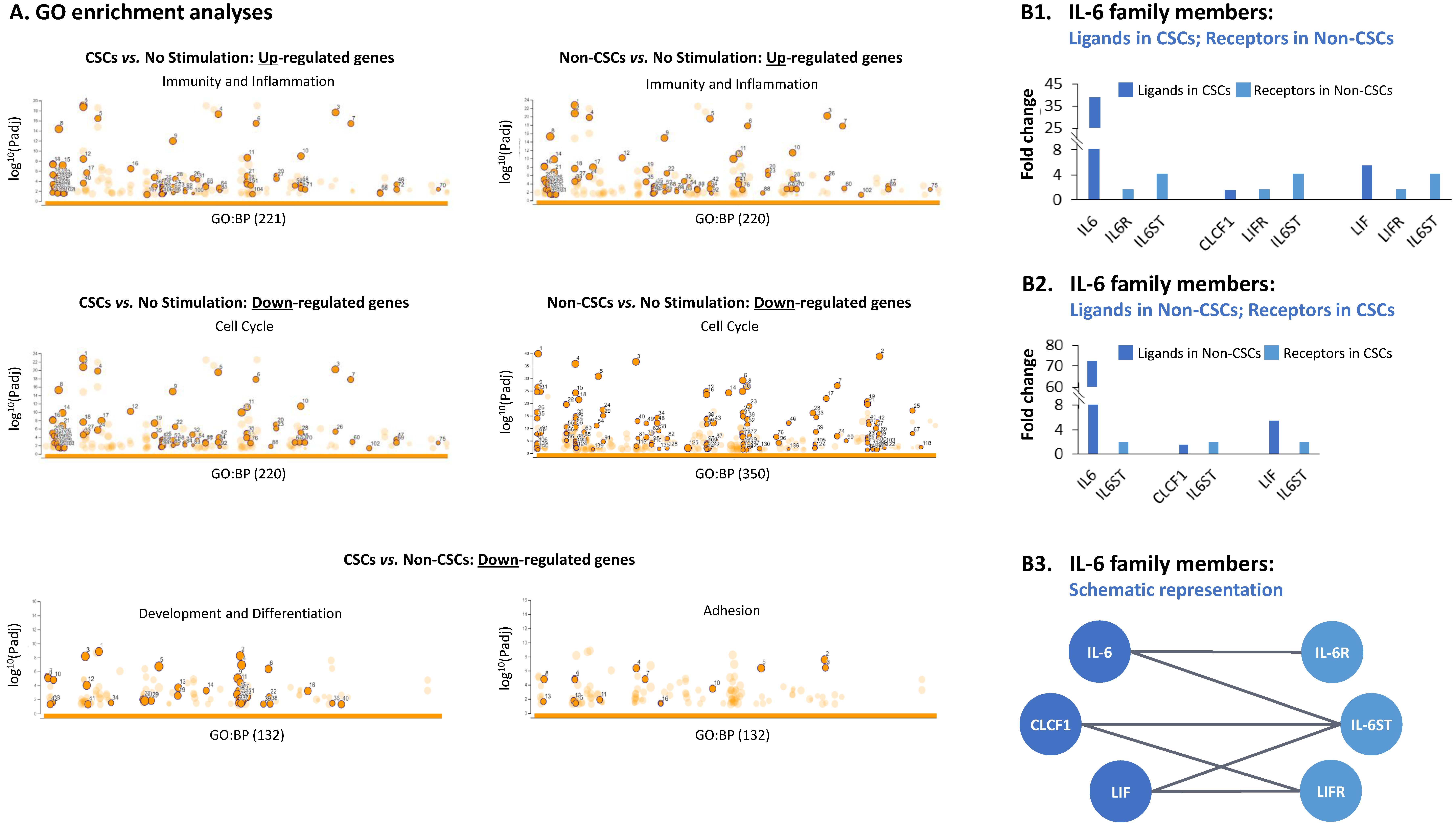 Cancers 15 02255 g003