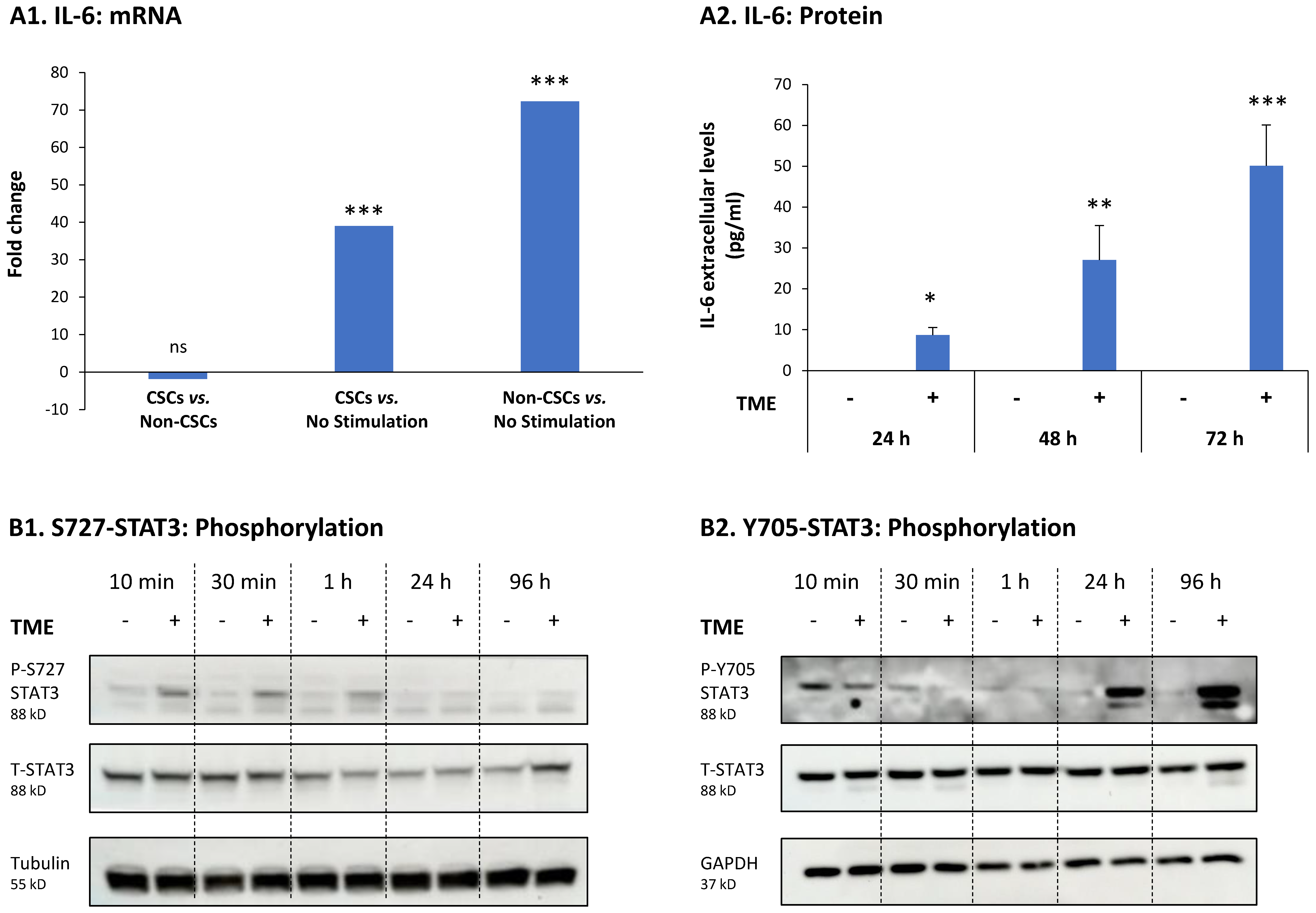 Cancers 15 02255 g004