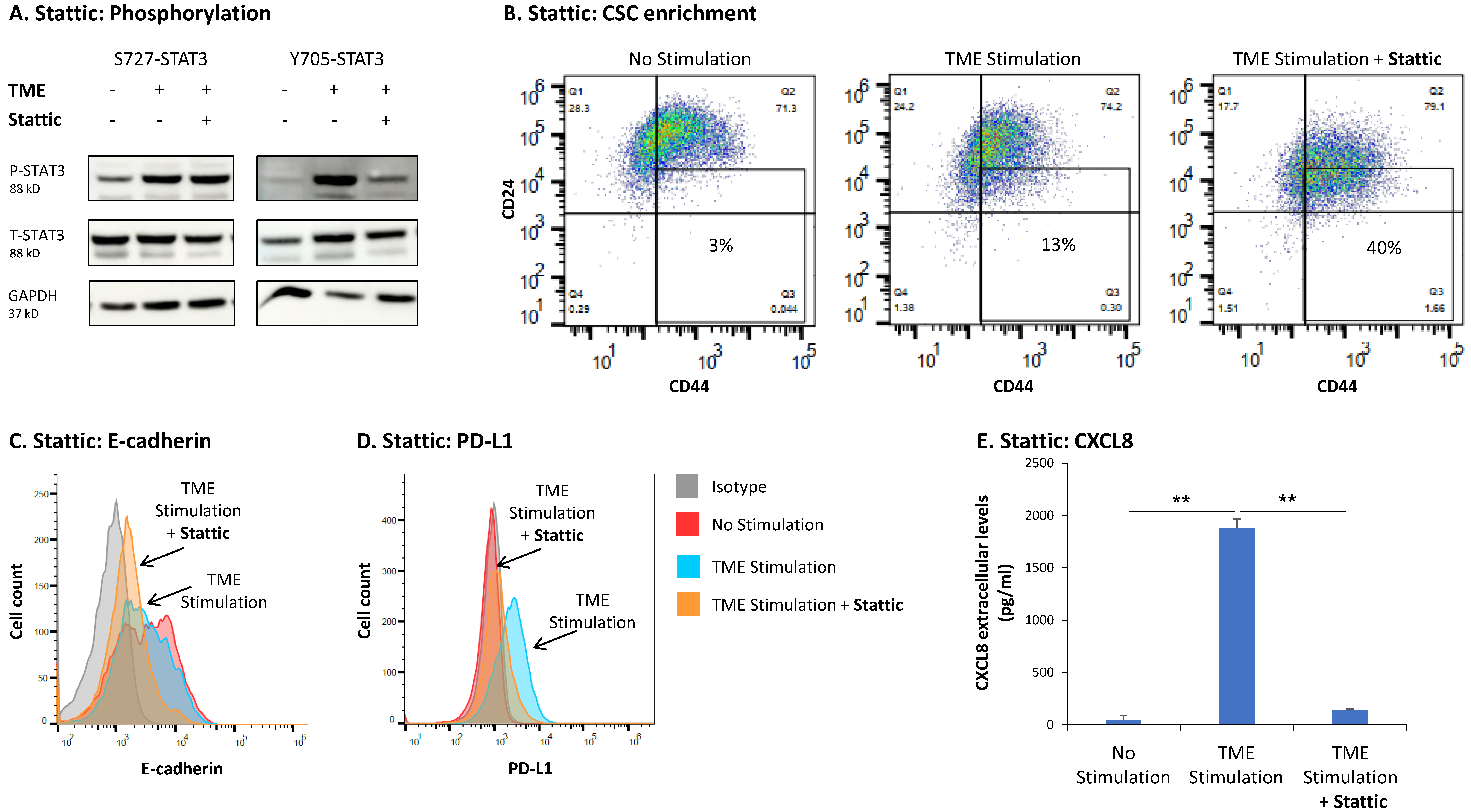 Cancers 15 02255 g005