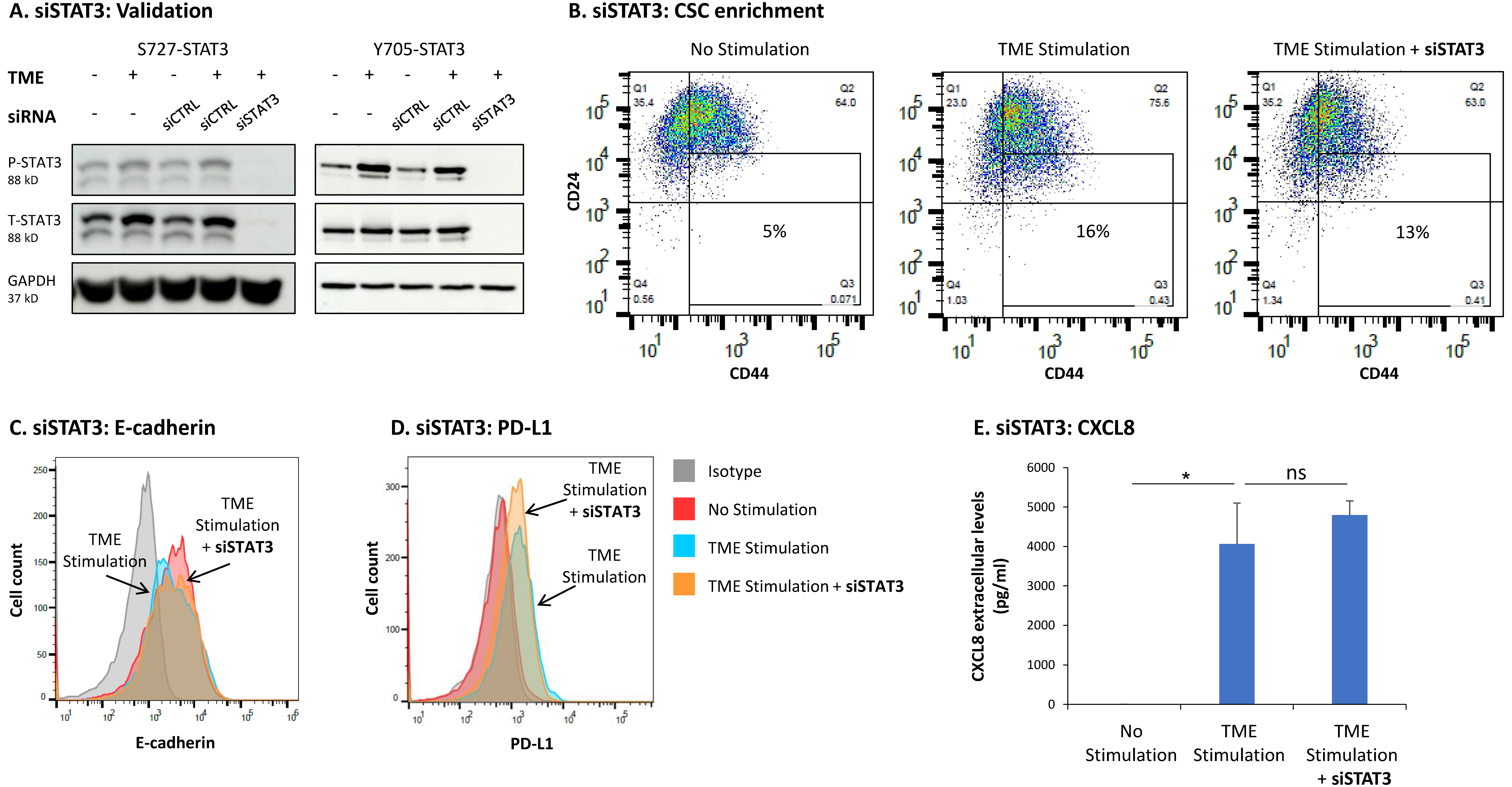 Cancers 15 02255 g006