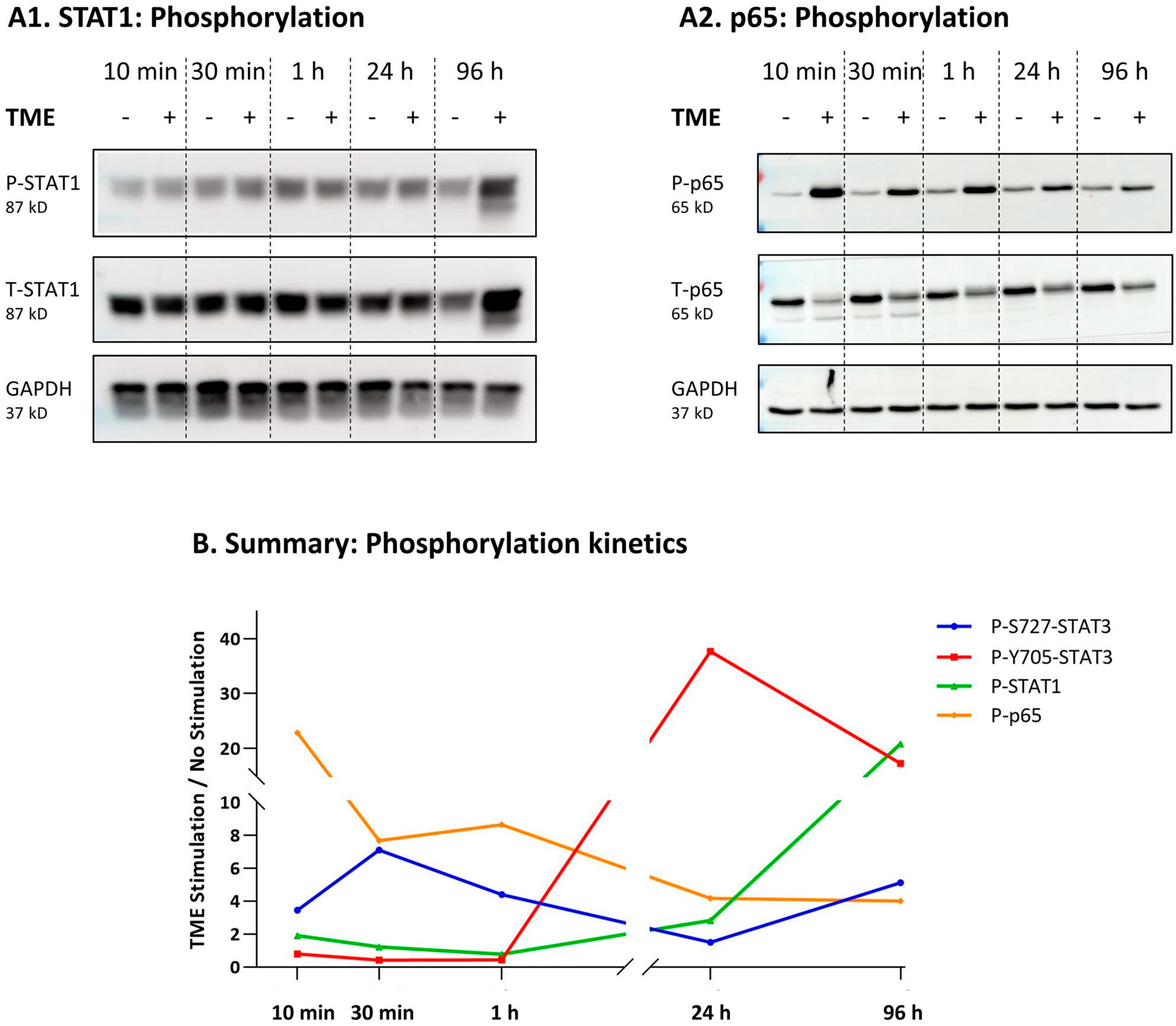 Cancers 15 02255 g007