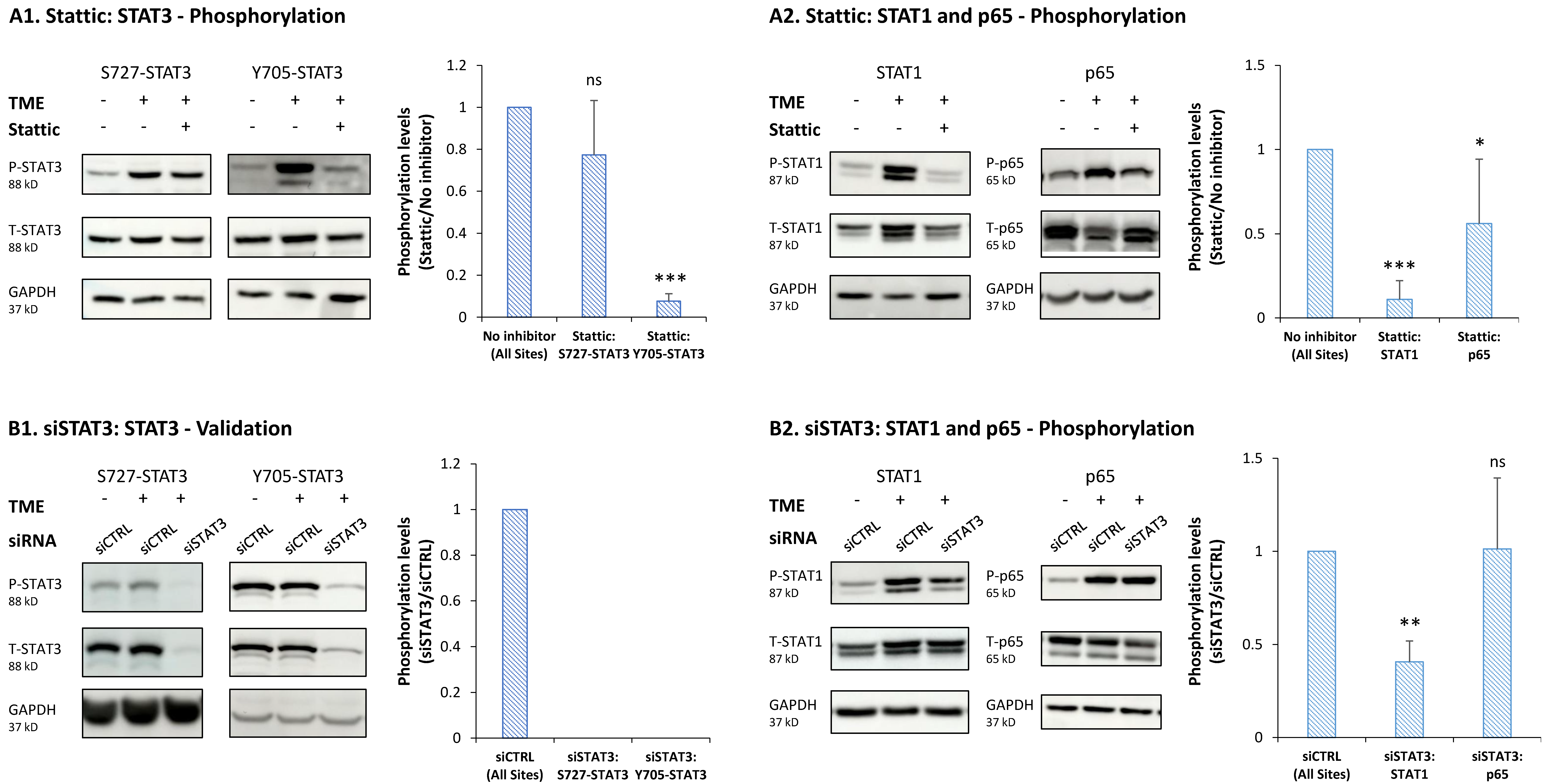 Cancers Free FullText A Tumor MicroenvironmentDriven Network