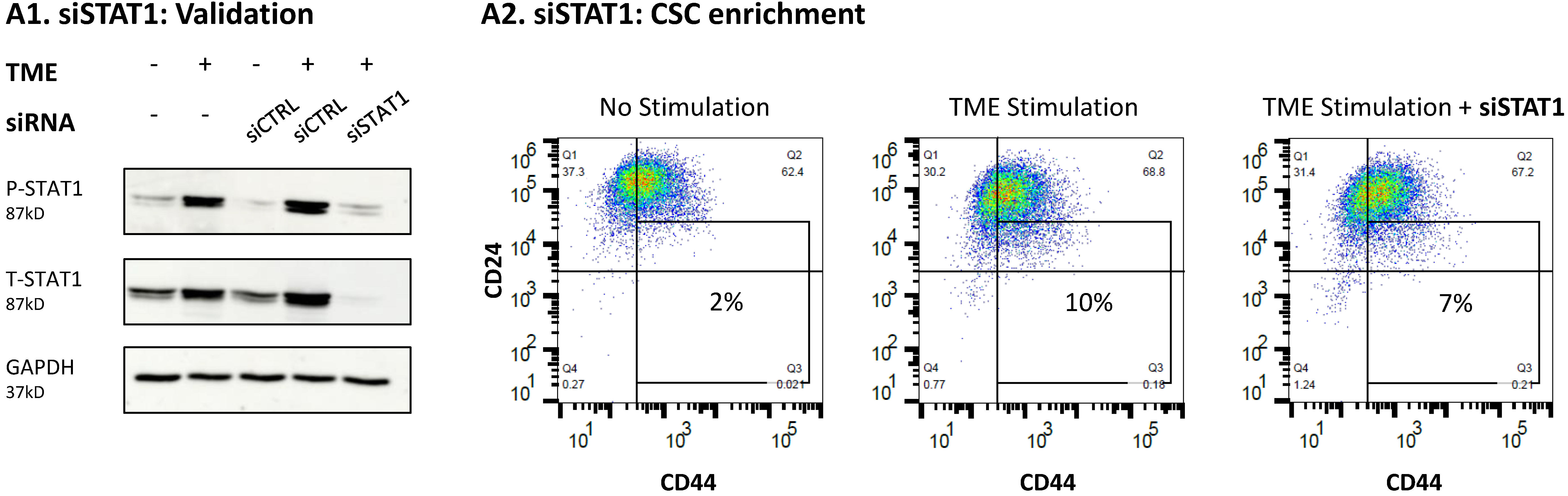 Cancers 15 02255 g009
