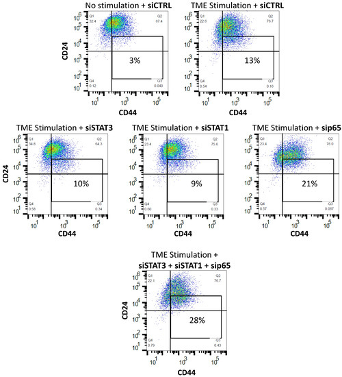 Cancers Free FullText A Tumor MicroenvironmentDriven Network