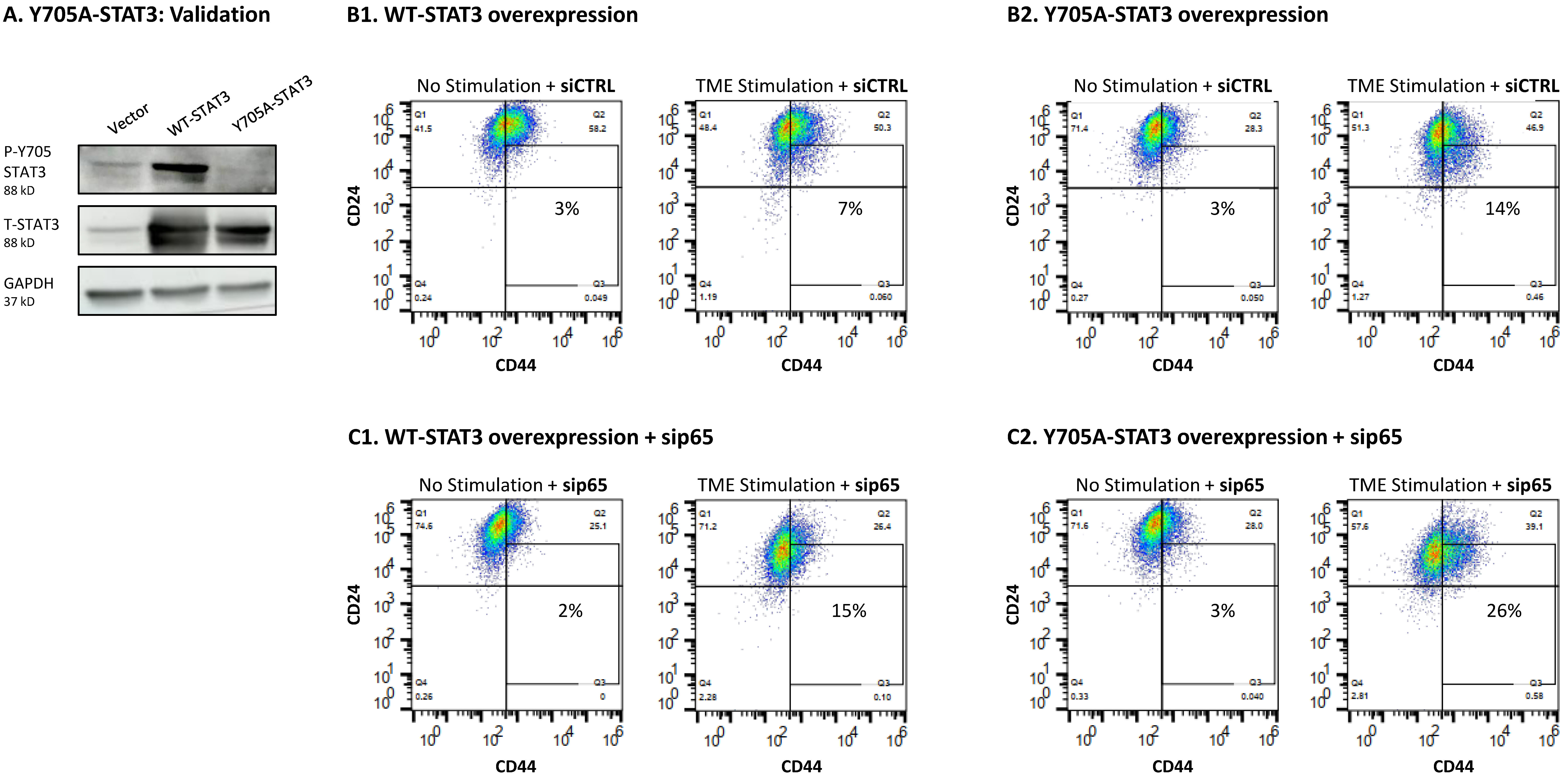 Cancers Free FullText A Tumor MicroenvironmentDriven Network