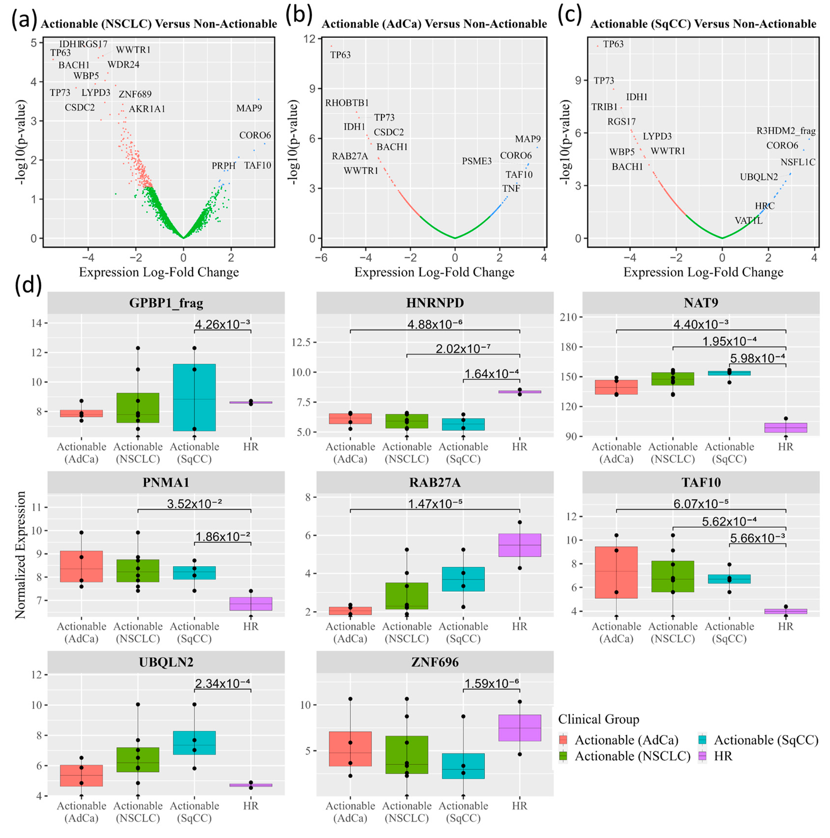 Cancers 15 02259 g002 Cancers 15 02259 g002