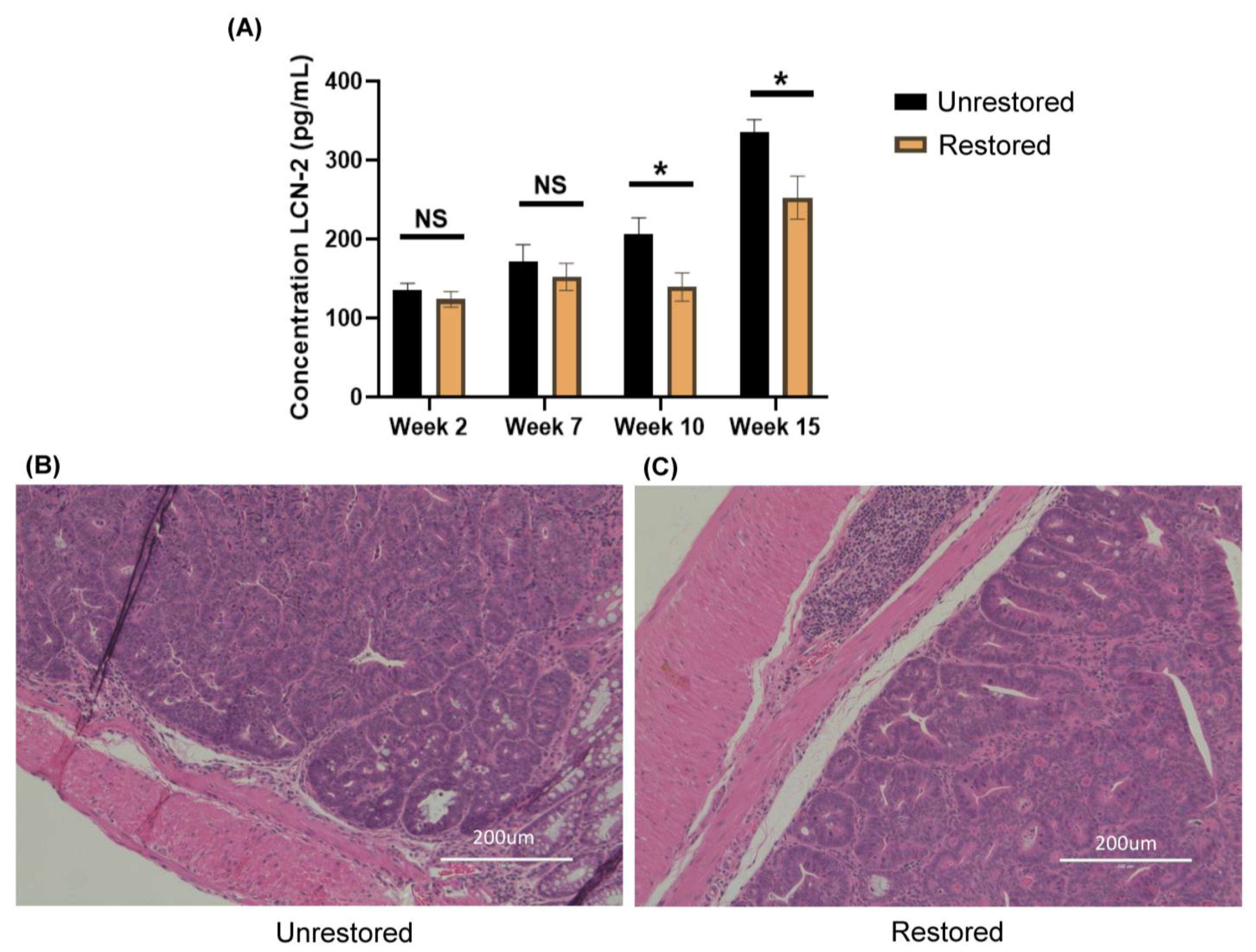 Cancers 15 02260 g002 Cancers 15 02260 g002