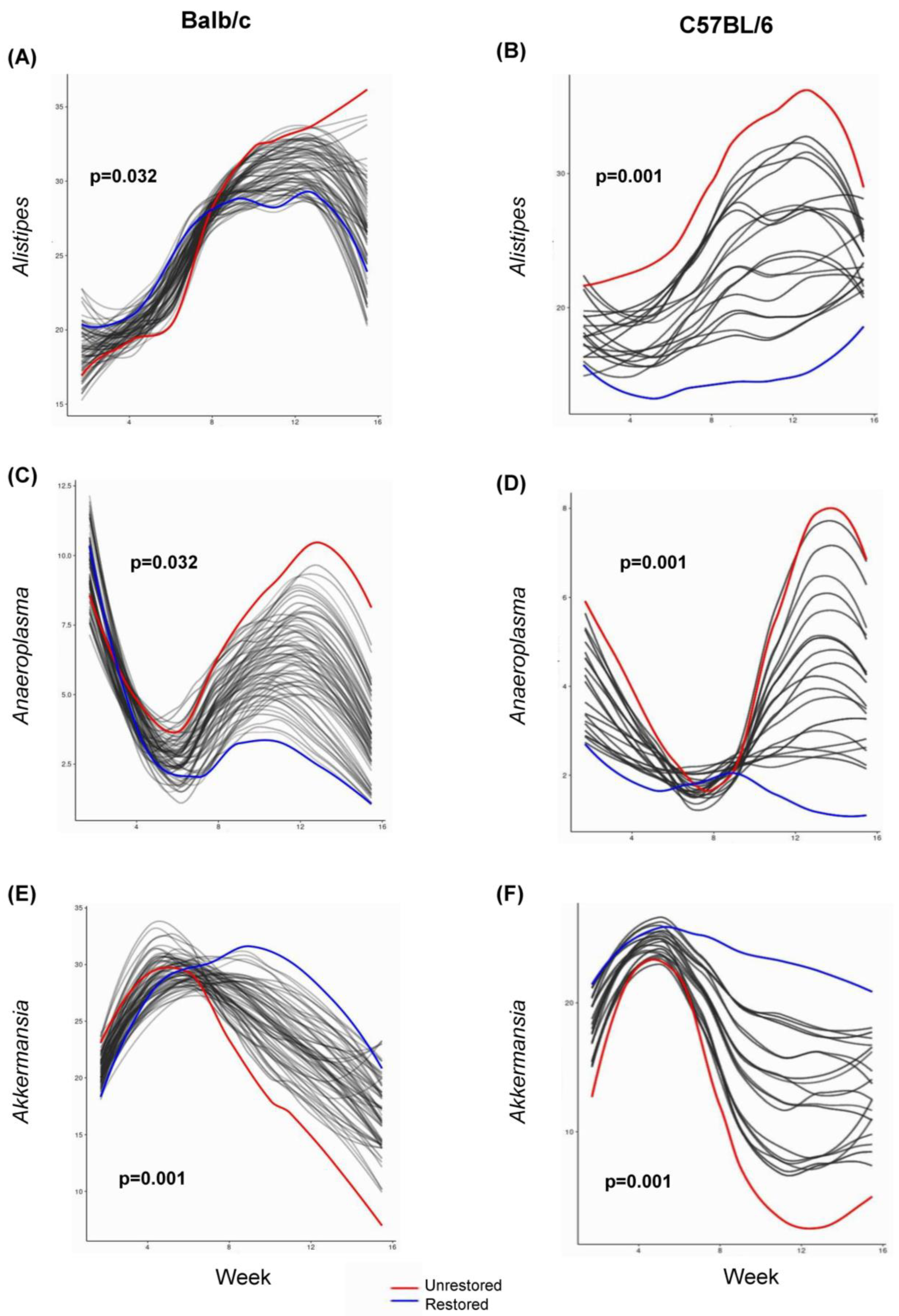 Cancers 15 02260 g005 Cancers 15 02260 g005