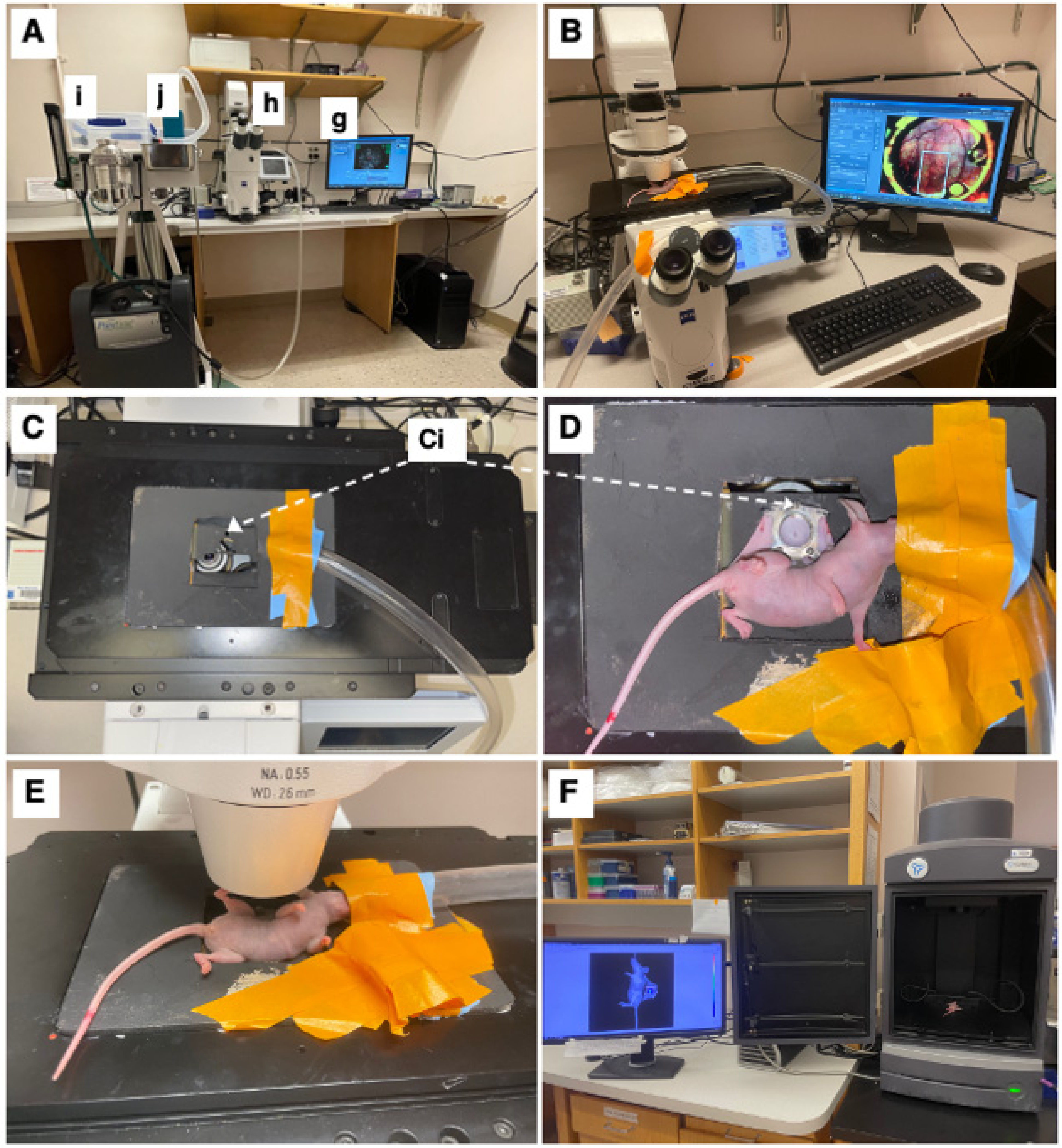 Cancers 15 02261 g002 Cancers 15 02261 g002