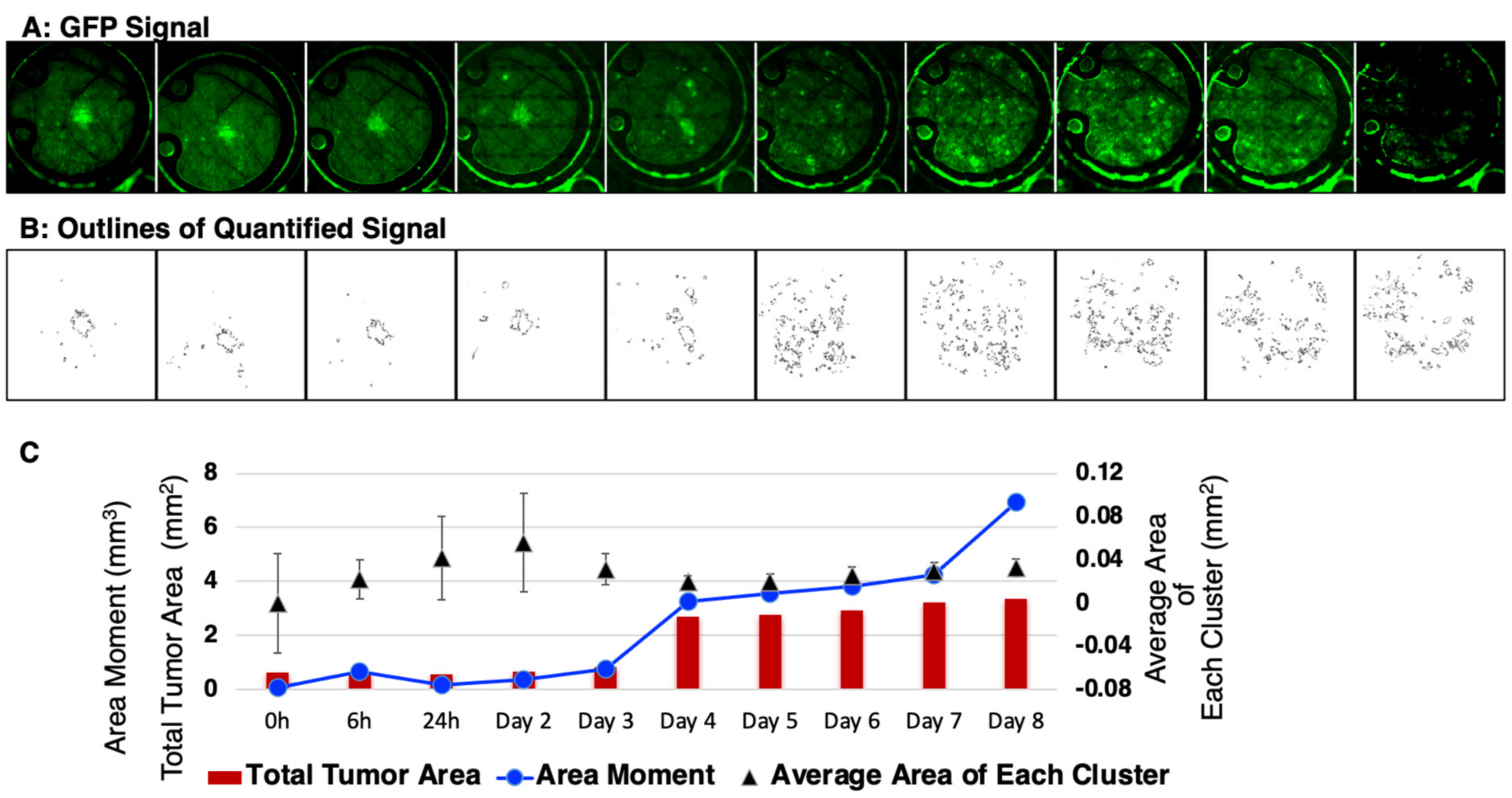 Cancers 15 02261 g006 Cancers 15 02261 g006
