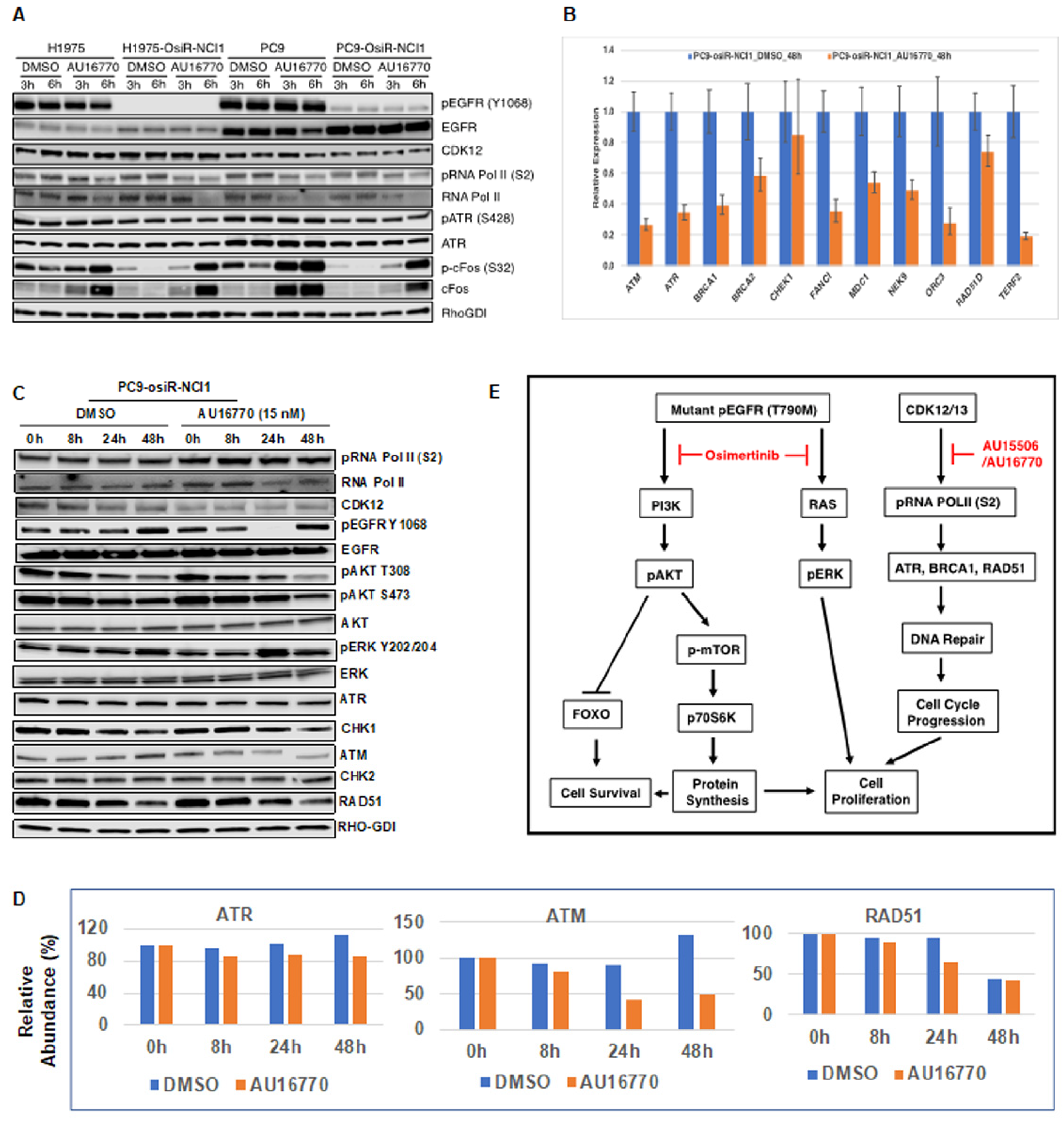 Cancers 15 02263 g006