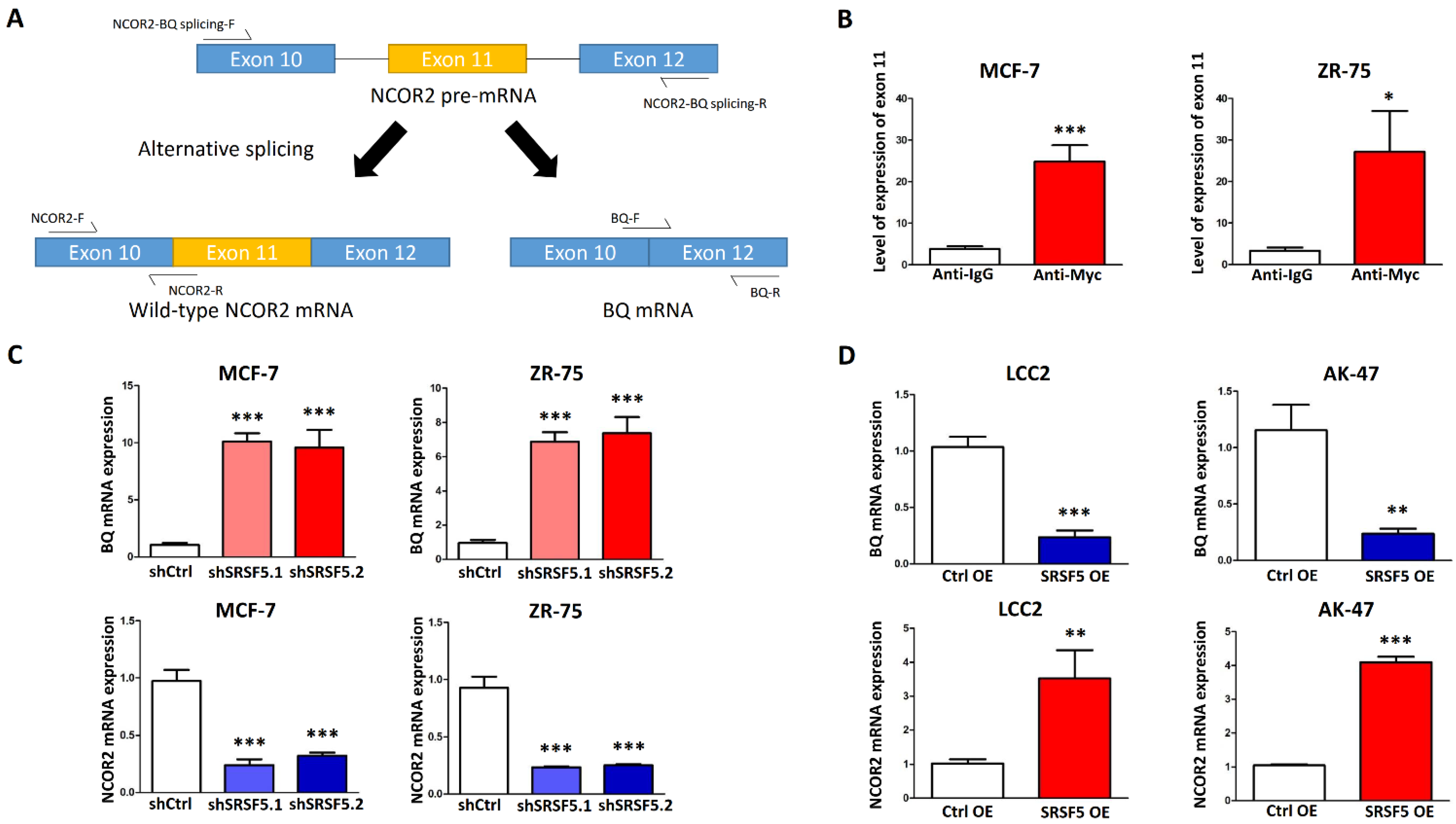 Cancers 15 02271 g002 Cancers 15 02271 g002