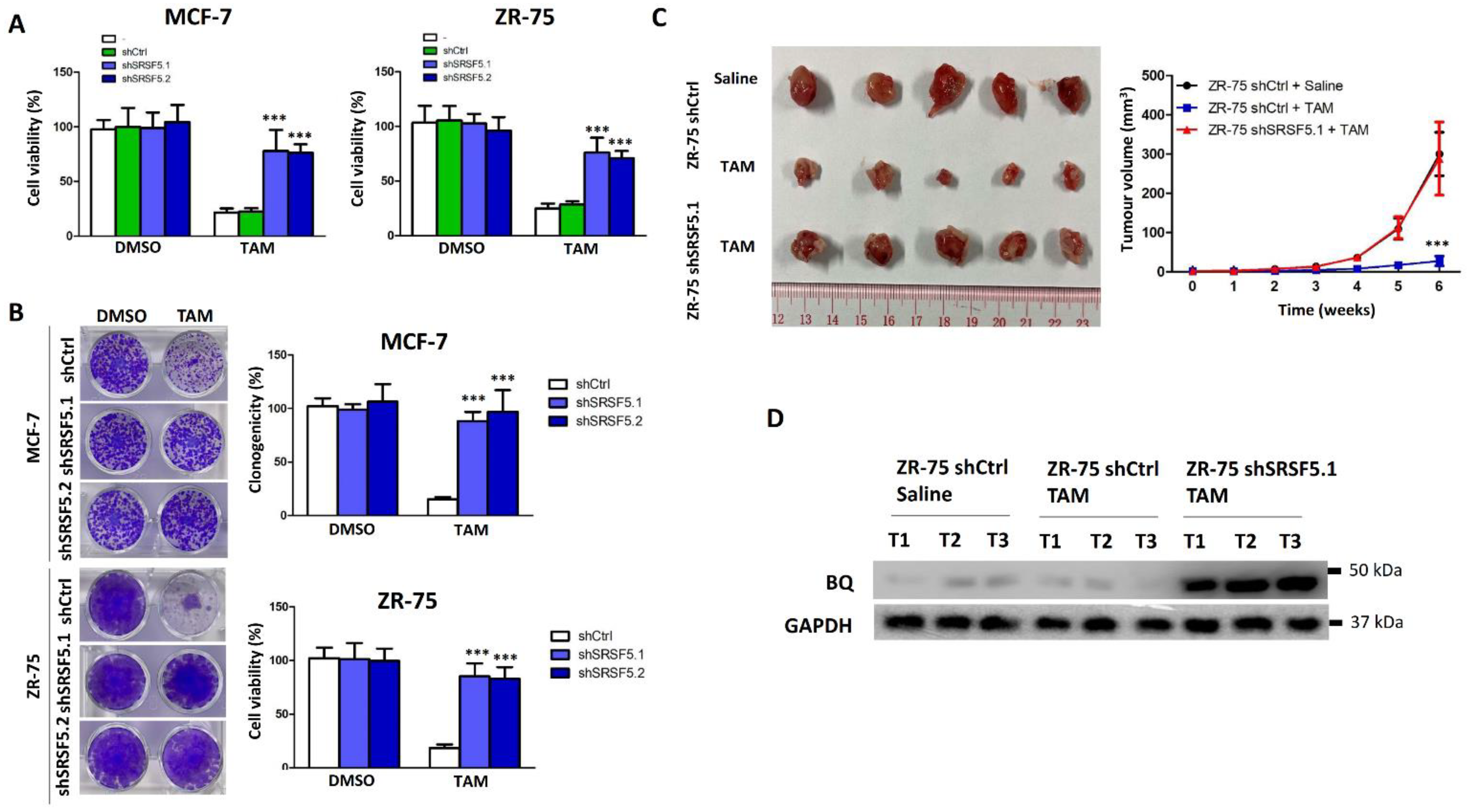 Cancers 15 02271 g003 Cancers 15 02271 g003