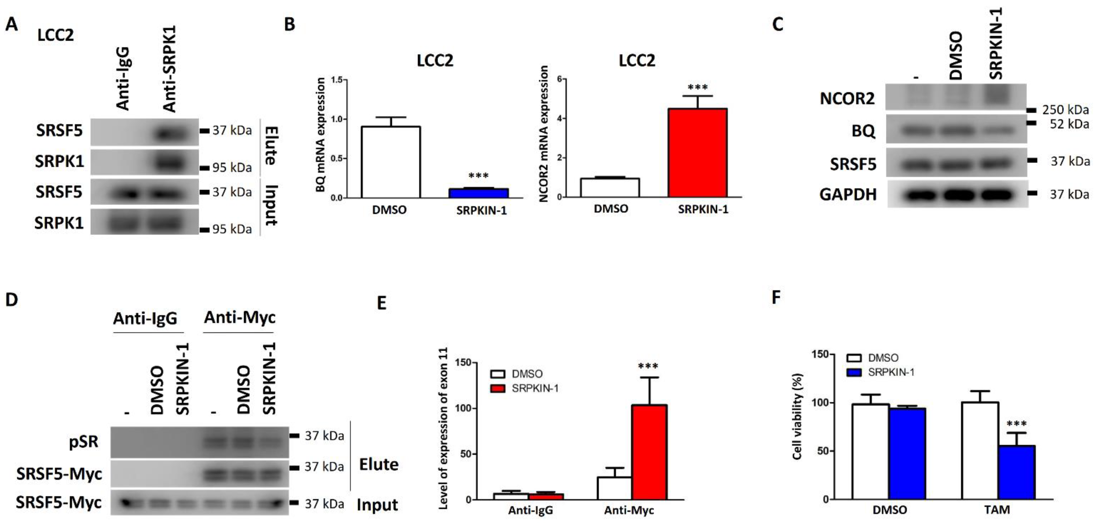 Cancers 15 02271 g006 Cancers 15 02271 g006