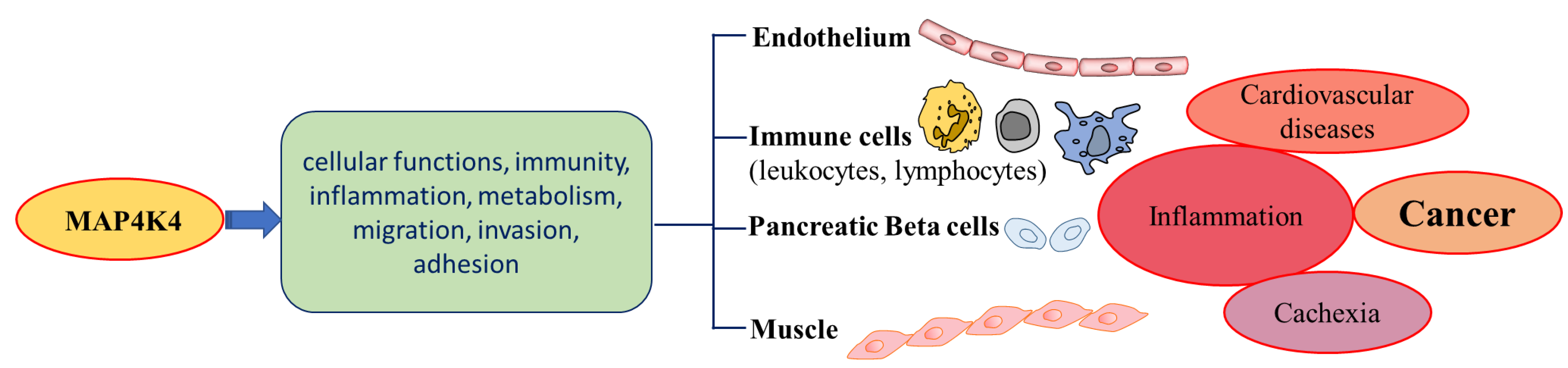 Cancers 15 02272 g003 Cancers 15 02272 g003