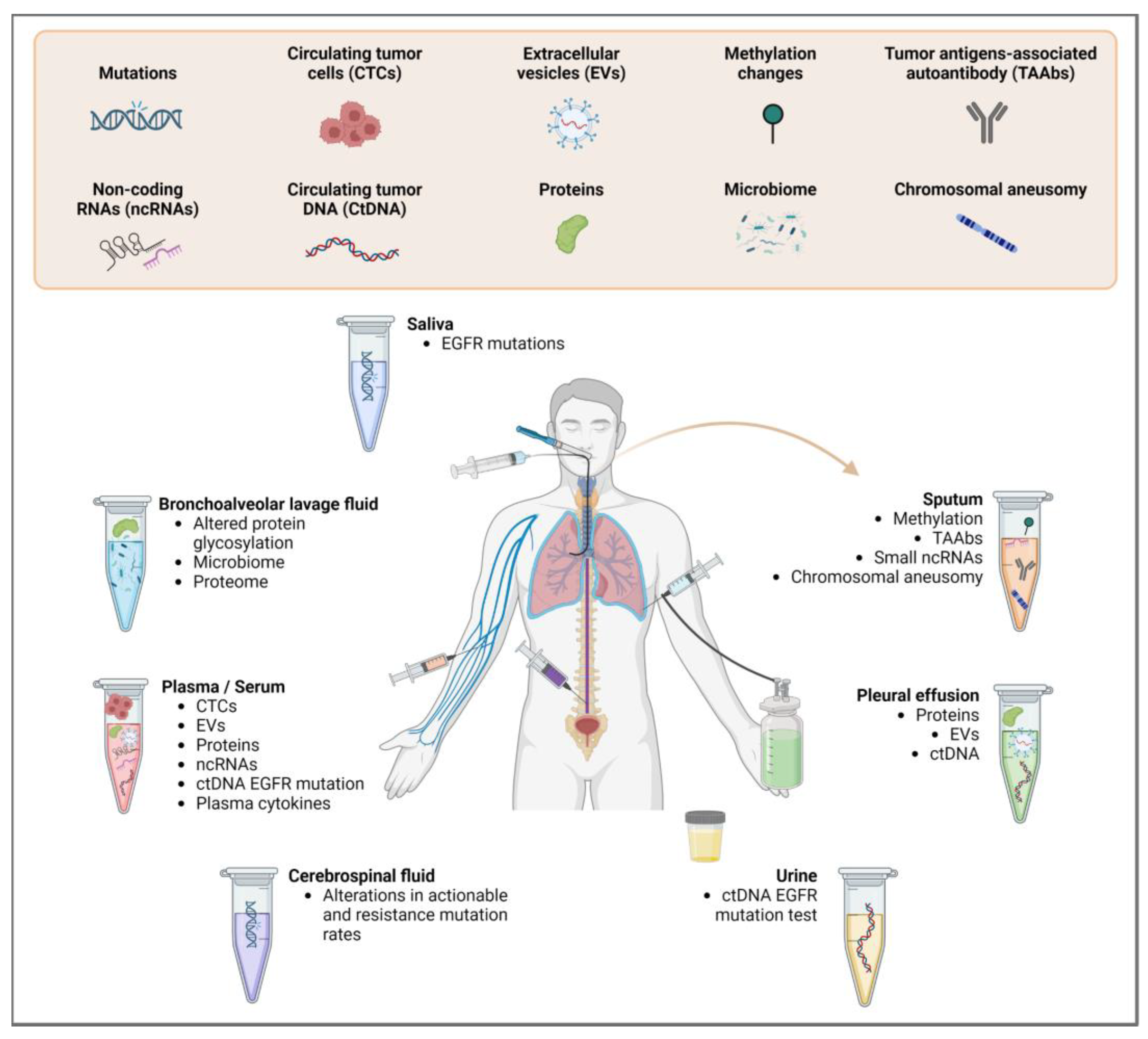 Cancers 15 02275 g001 Cancers 15 02275 g001