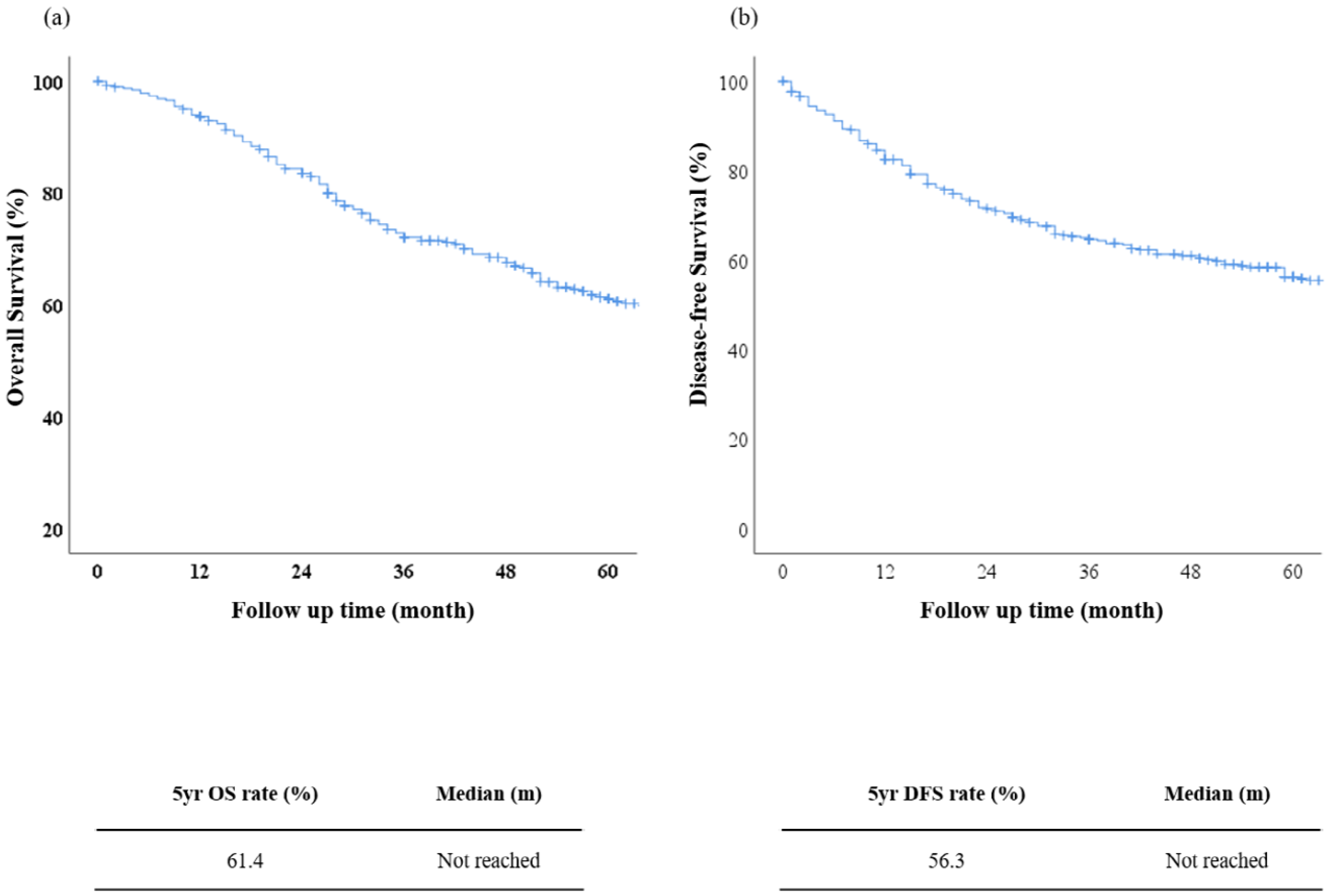 Cancers 15 02281 g002 Cancers 15 02281 g002