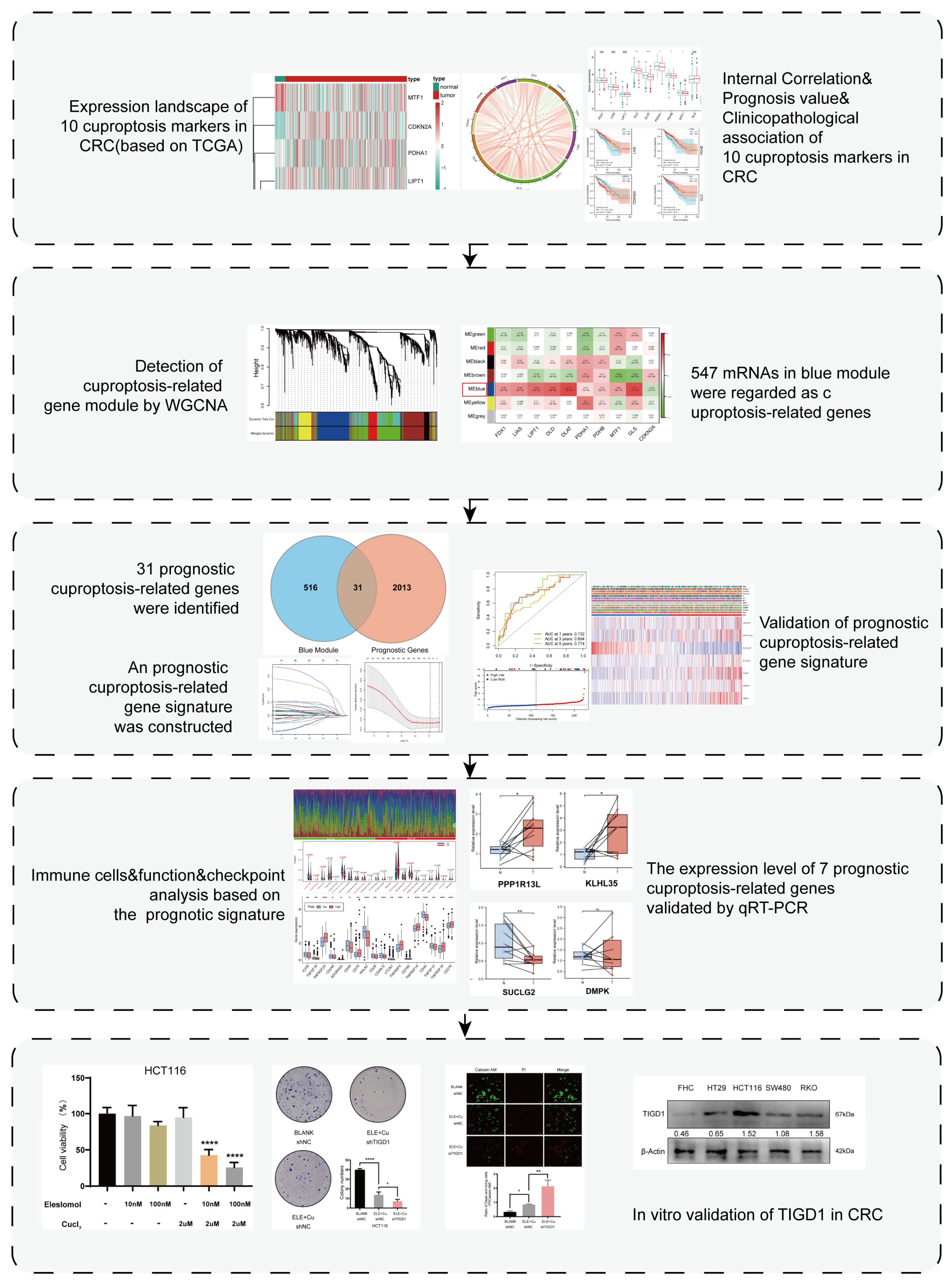 Cancers 15 02286 g001 Cancers 15 02286 g001