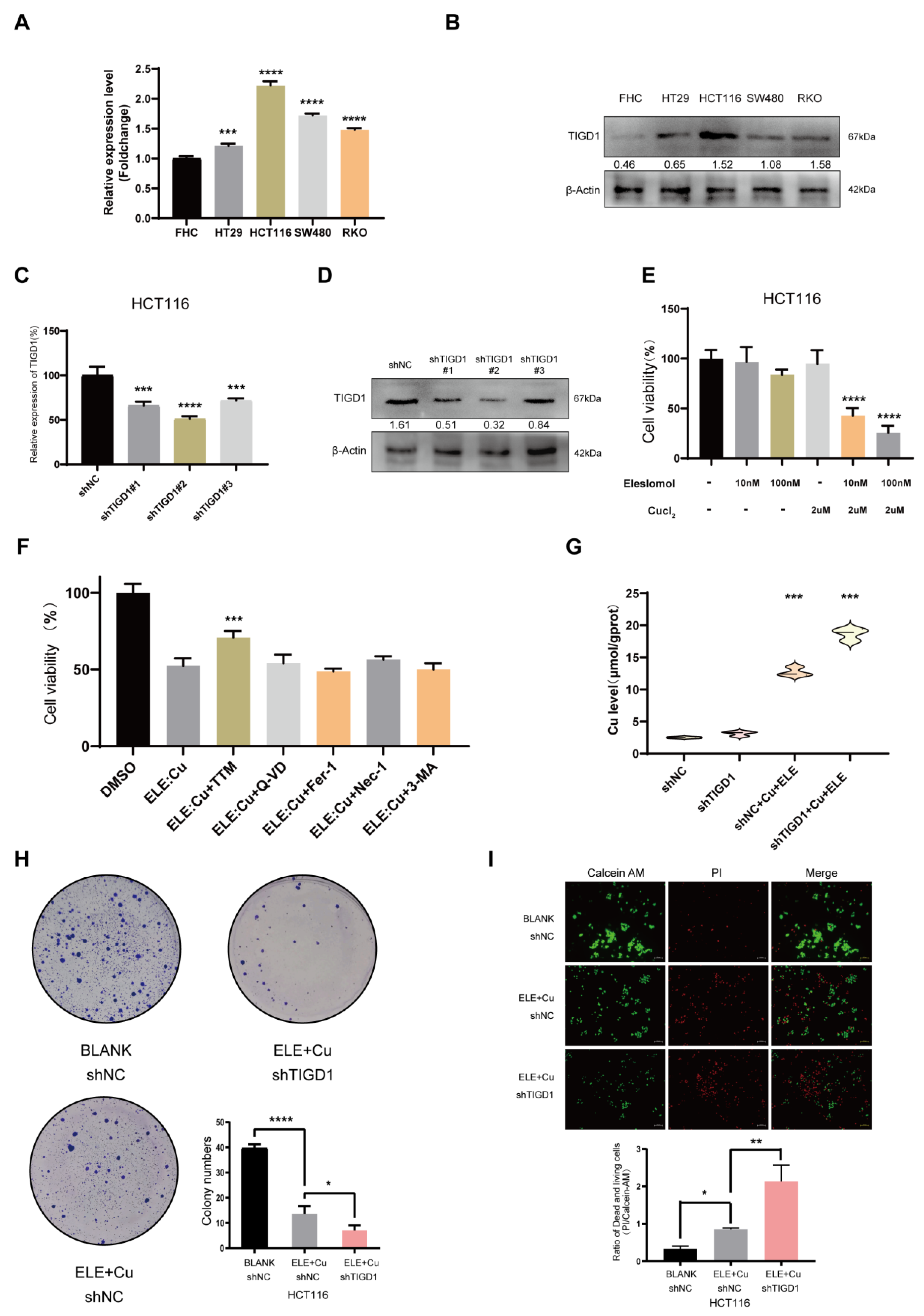 Cancers 15 02286 g010 Cancers 15 02286 g010