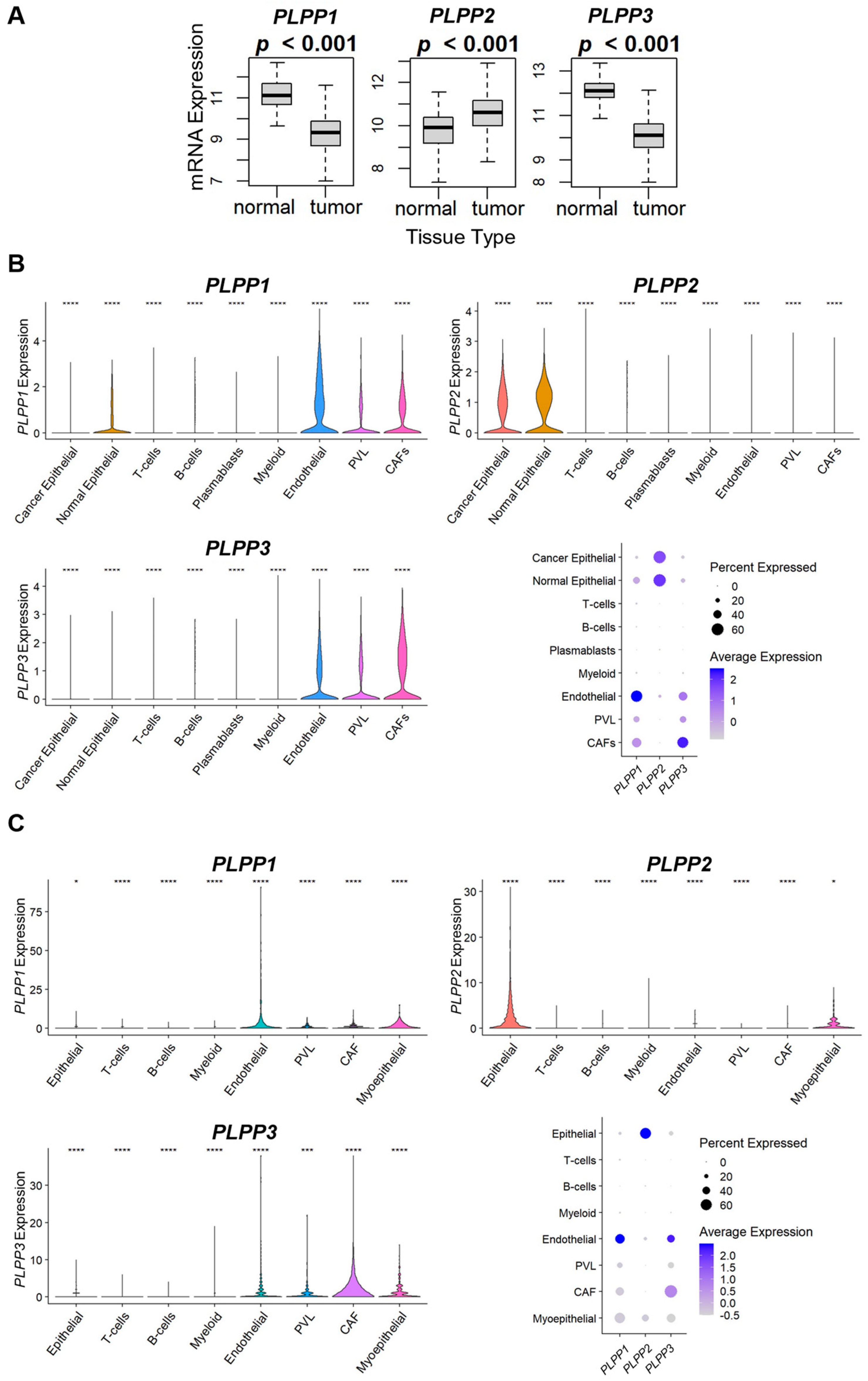 Cancers 15 02299 g006