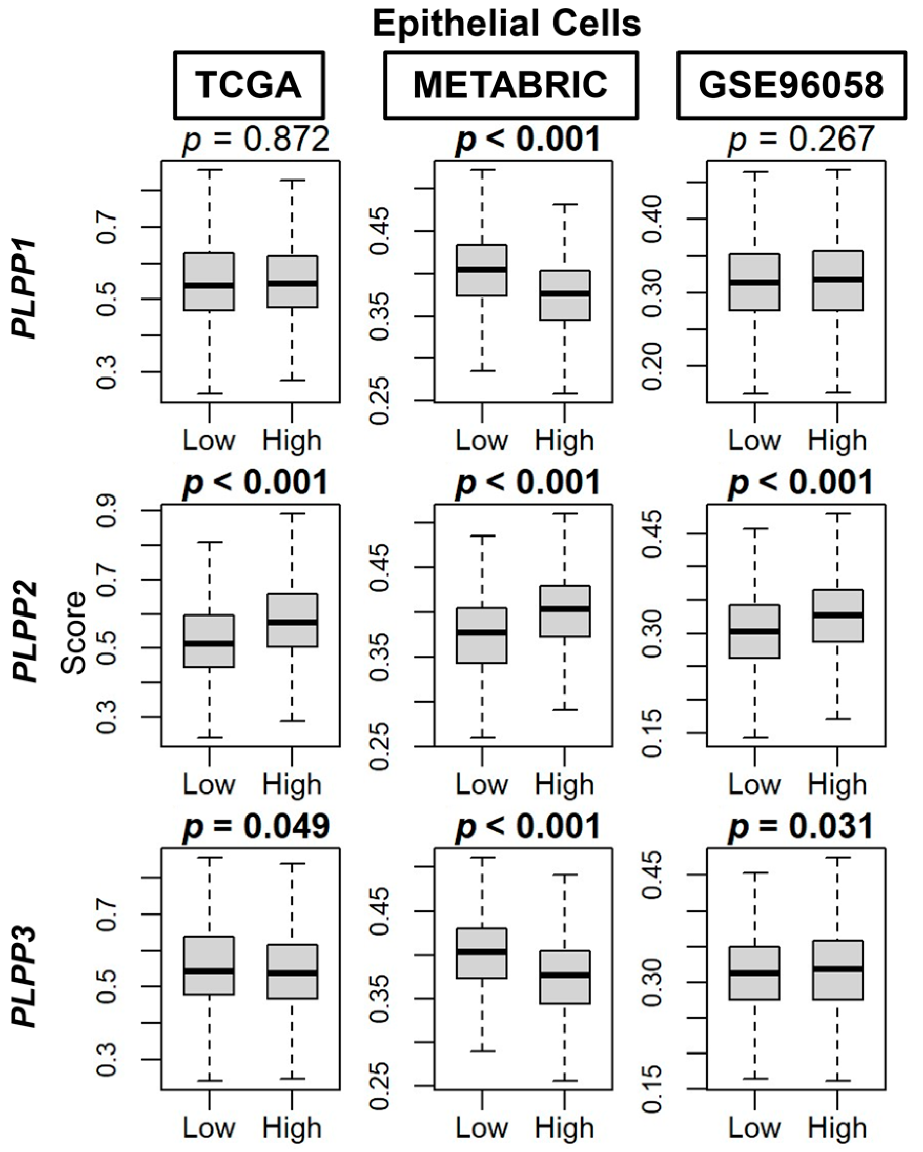 Cancers 15 02299 g007