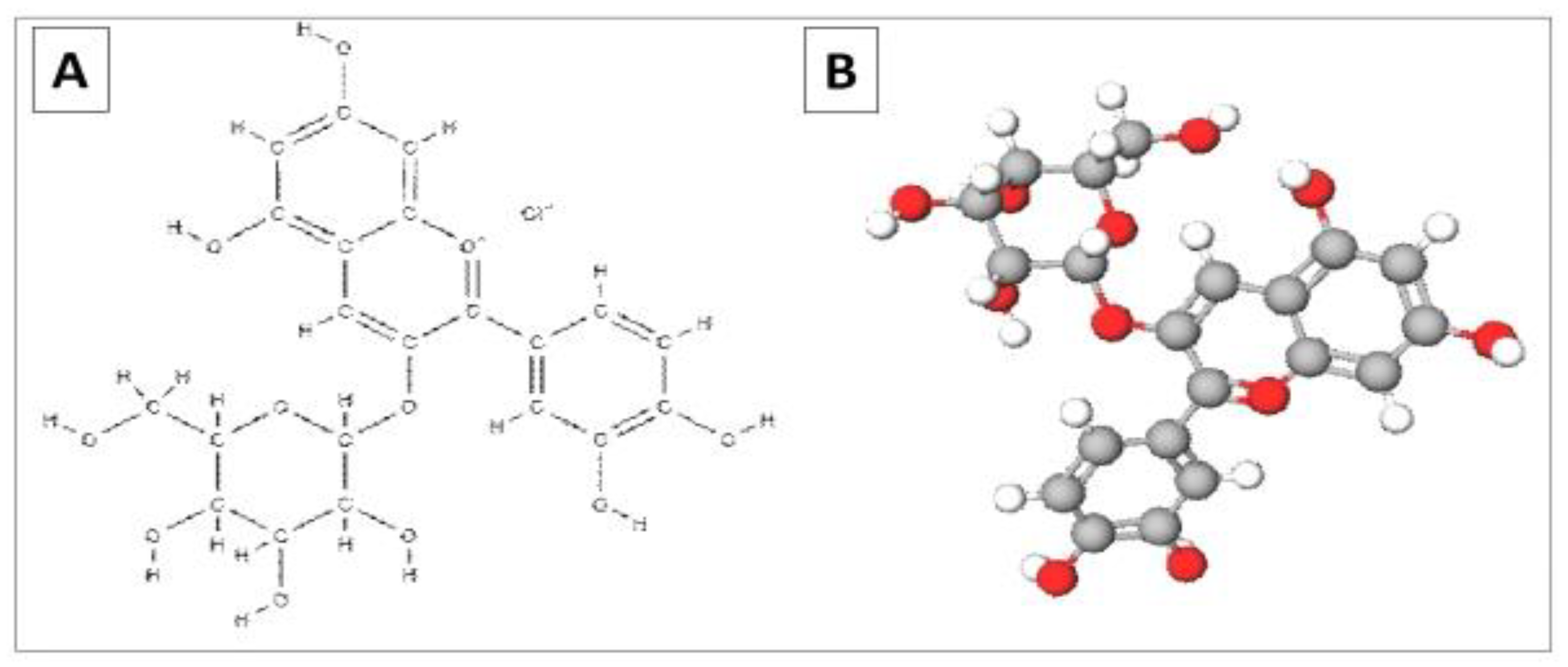 Cancers 15 02300 g001 Cancers 15 02300 g001