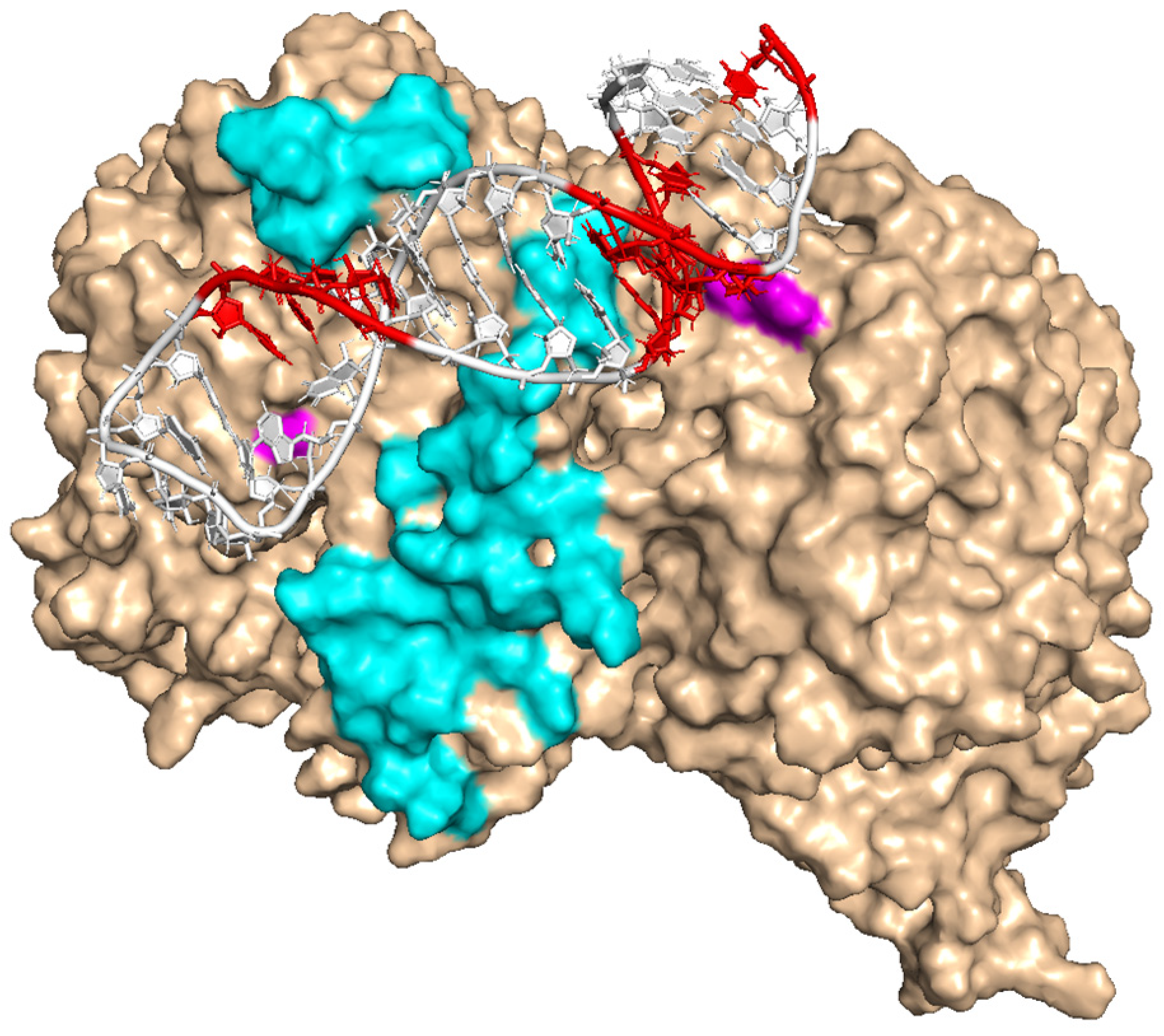 Cancers 15 02301 g005