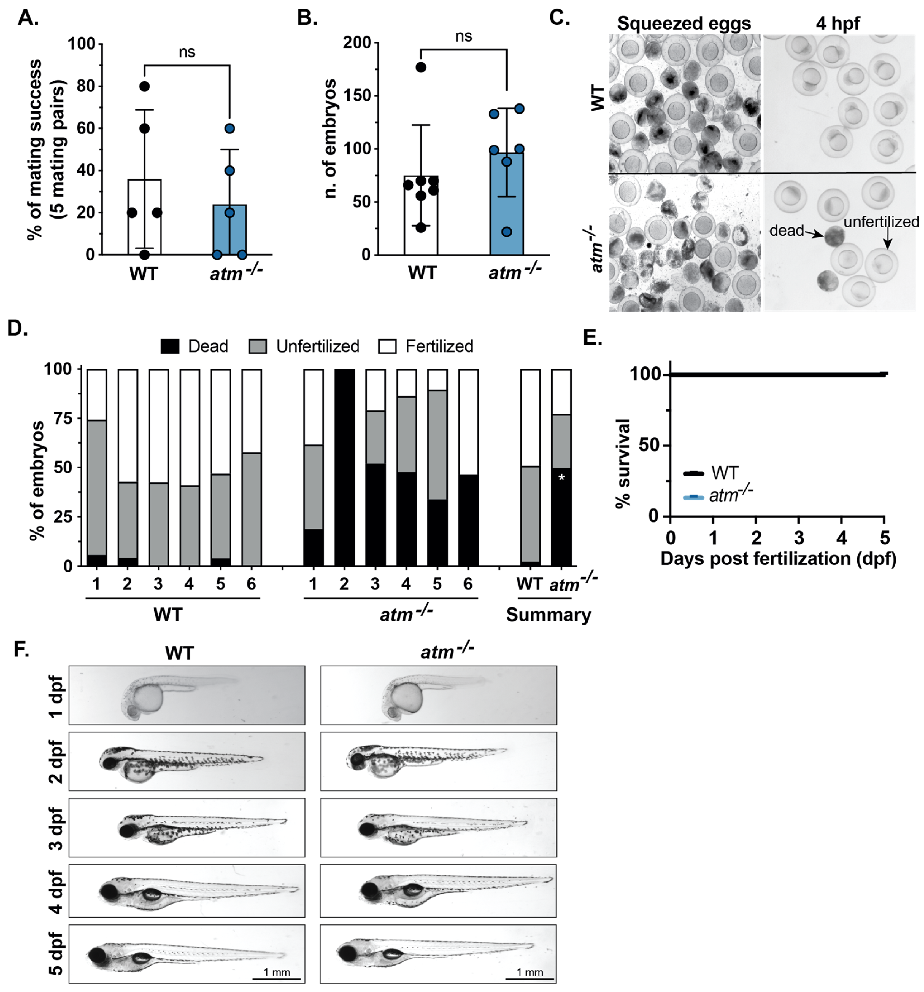 Cancers 15 02302 g003