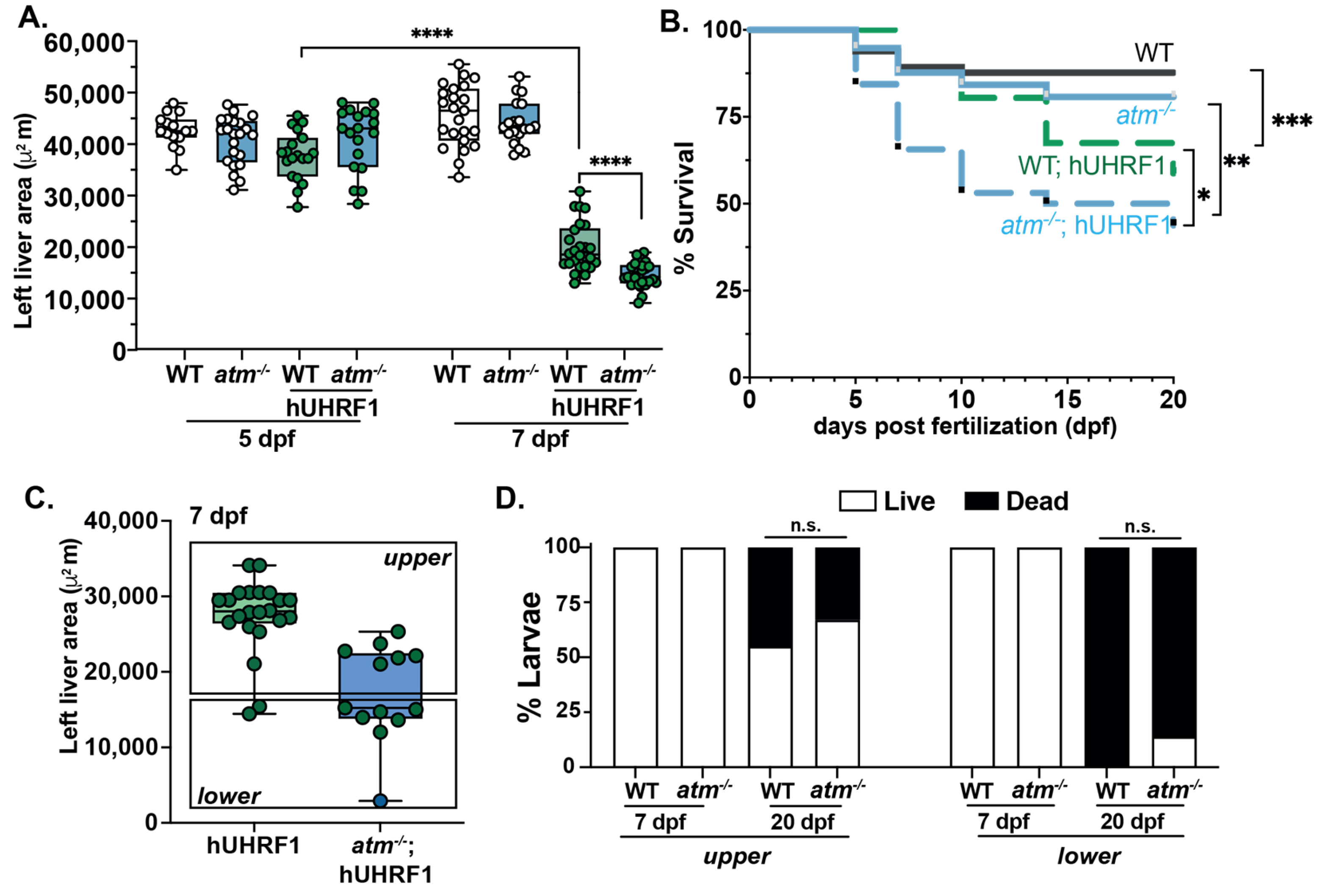 Cancers 15 02302 g005