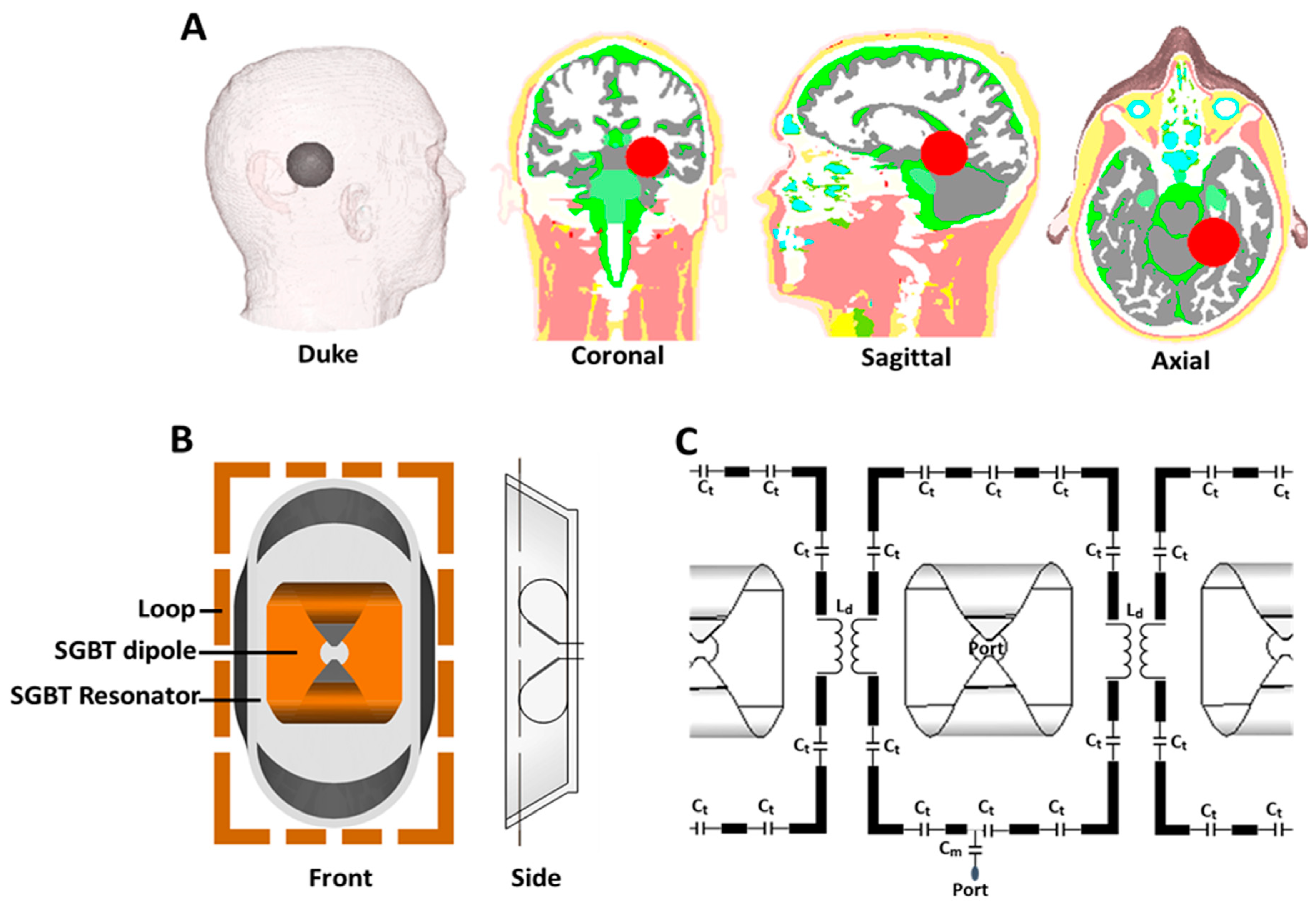 Cancers 15 02303 g002 Cancers 15 02303 g002