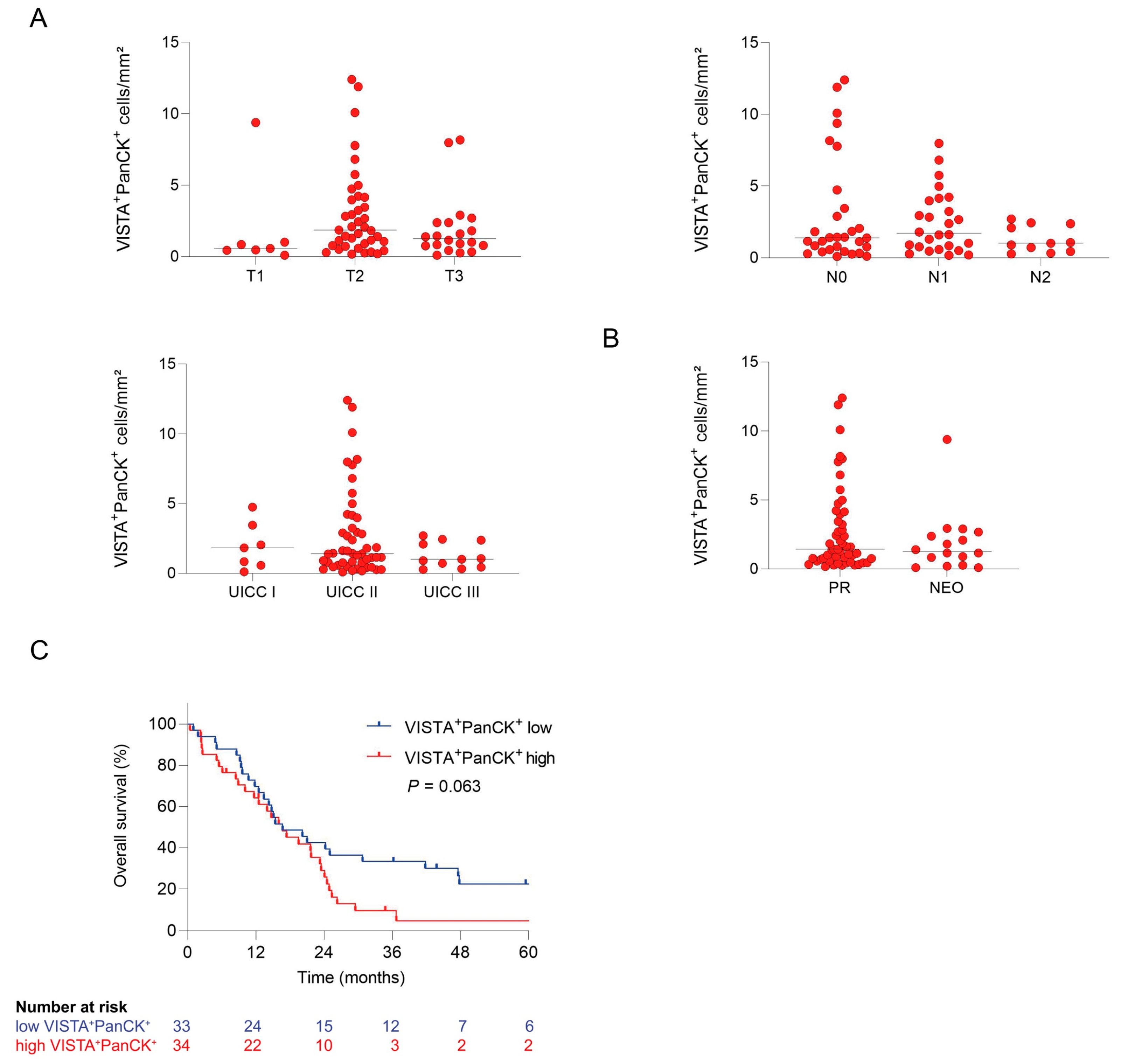 Cancers 15 02326 g003 Cancers 15 02326 g003