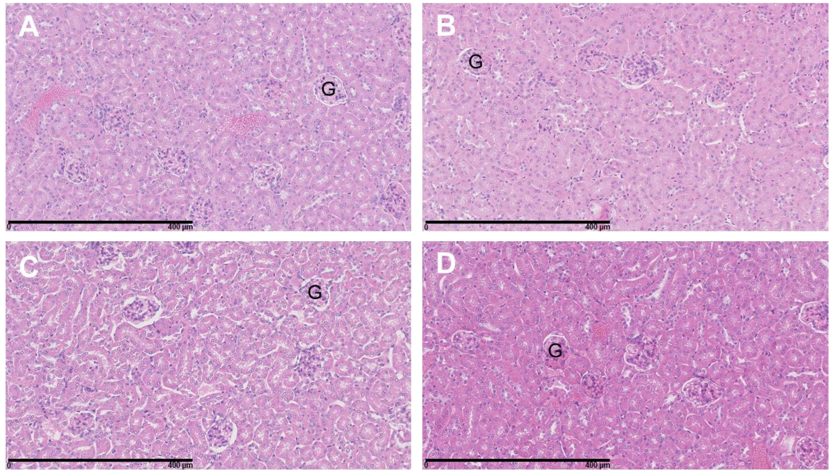 Cancers 15 02332 g009 Cancers 15 02332 g009