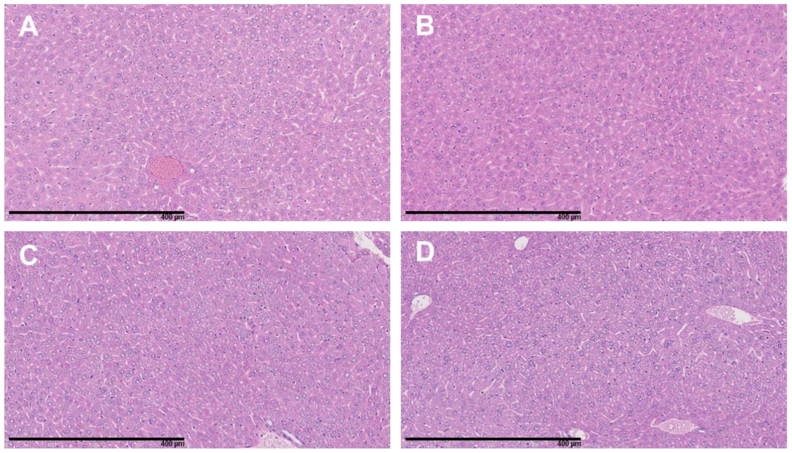 Cancers 15 02332 g010 Cancers 15 02332 g010