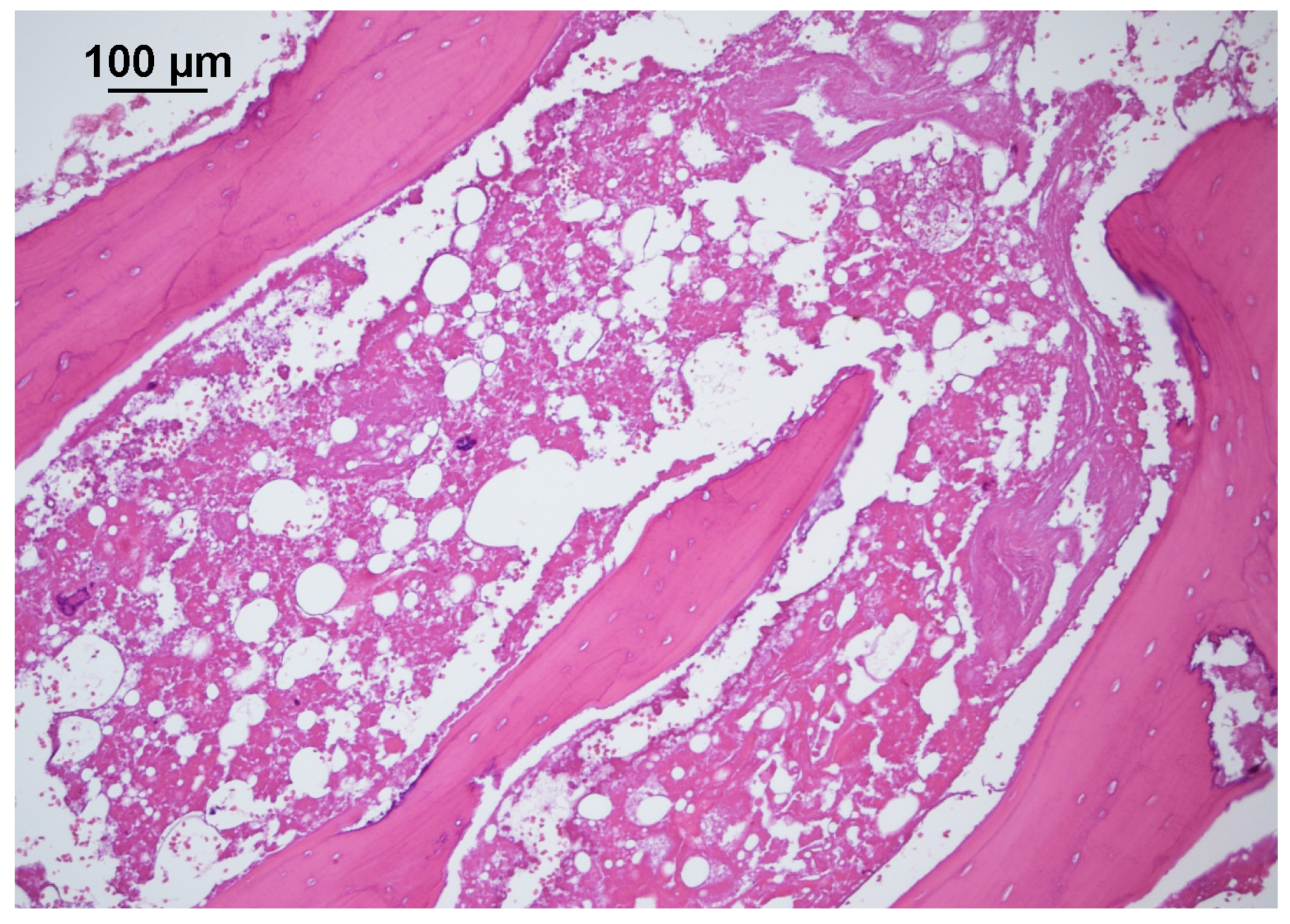 Cancers 15 02339 g002