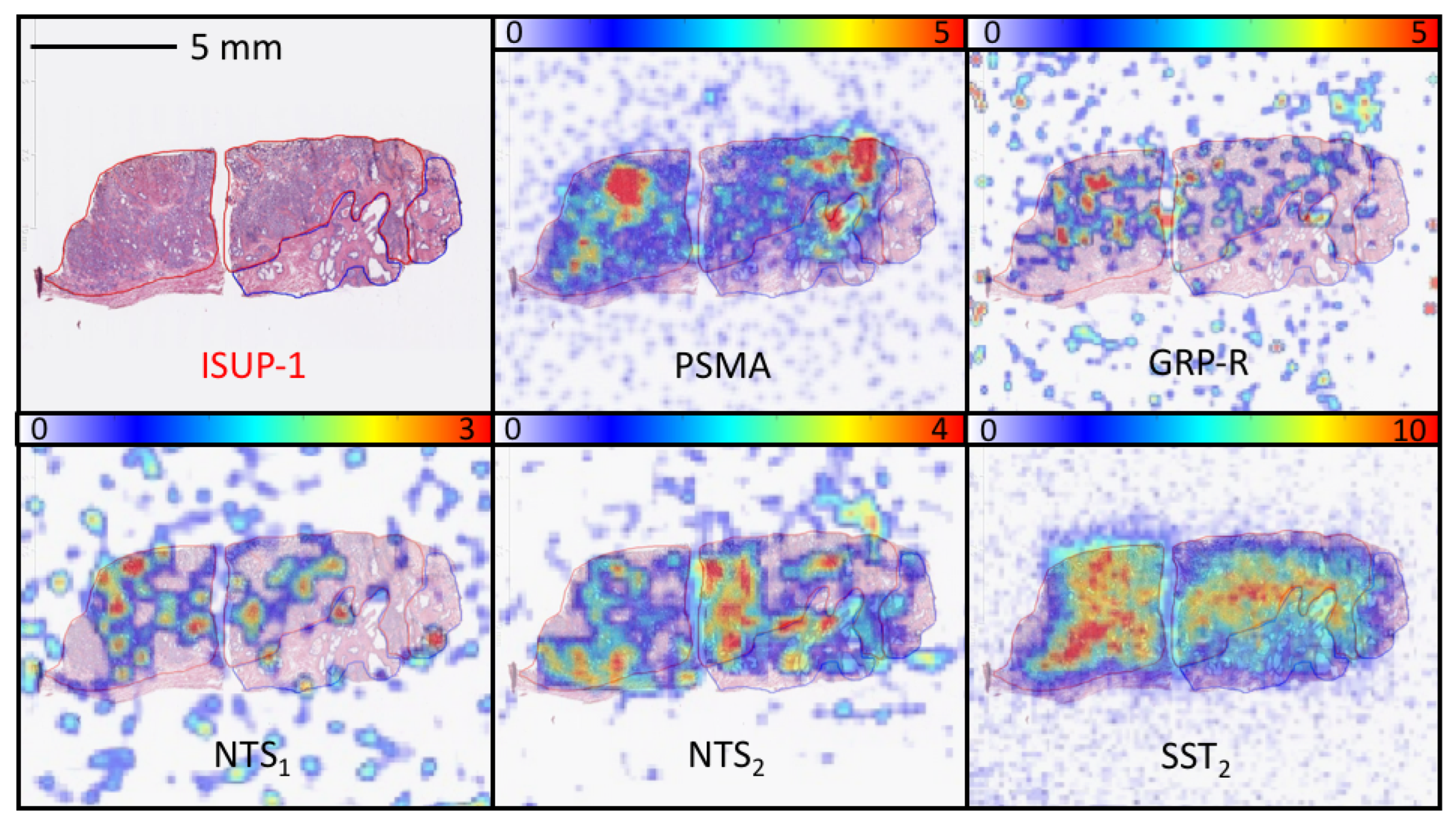 Cancers 15 02345 g002