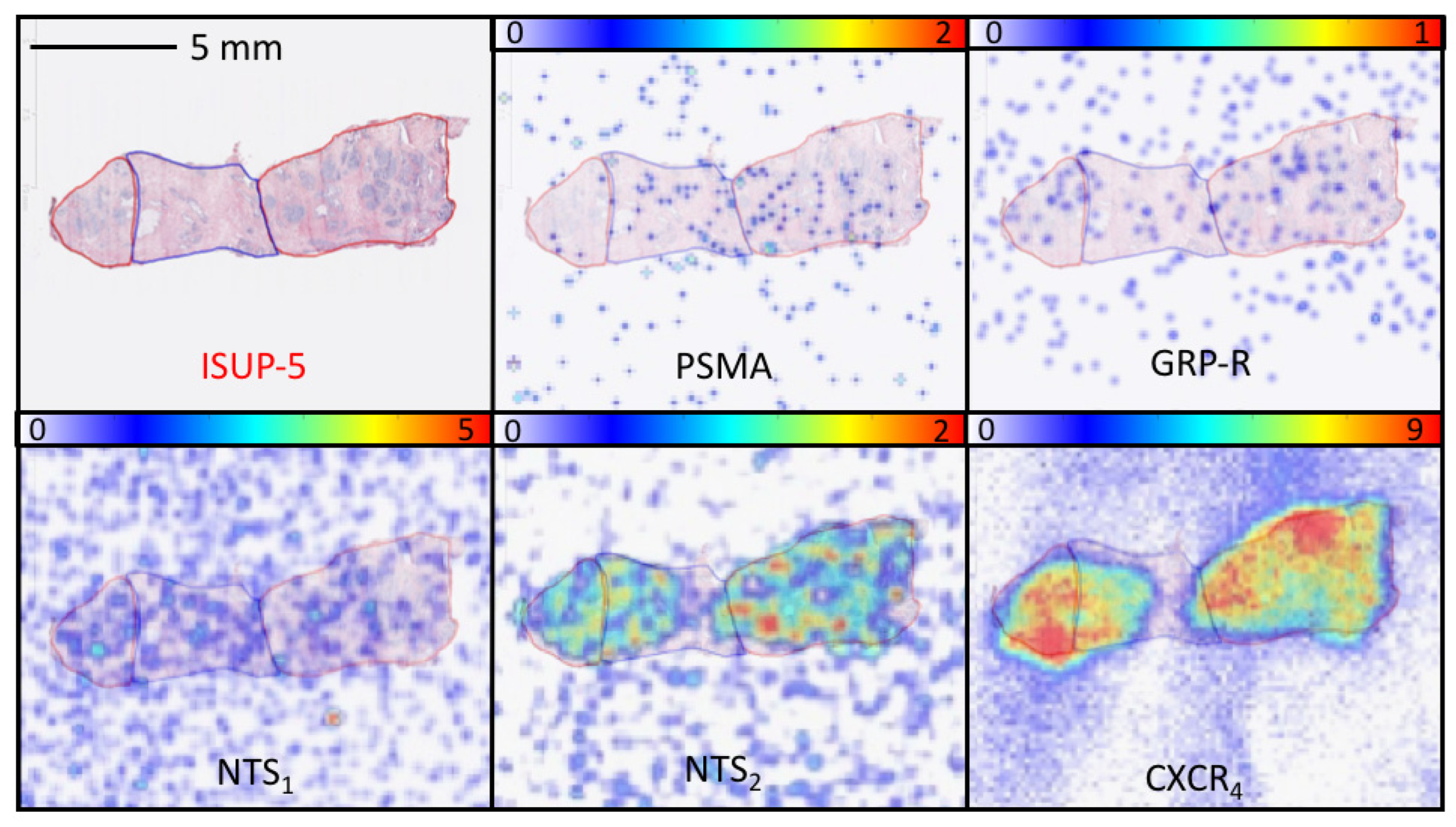 Cancers 15 02345 g004