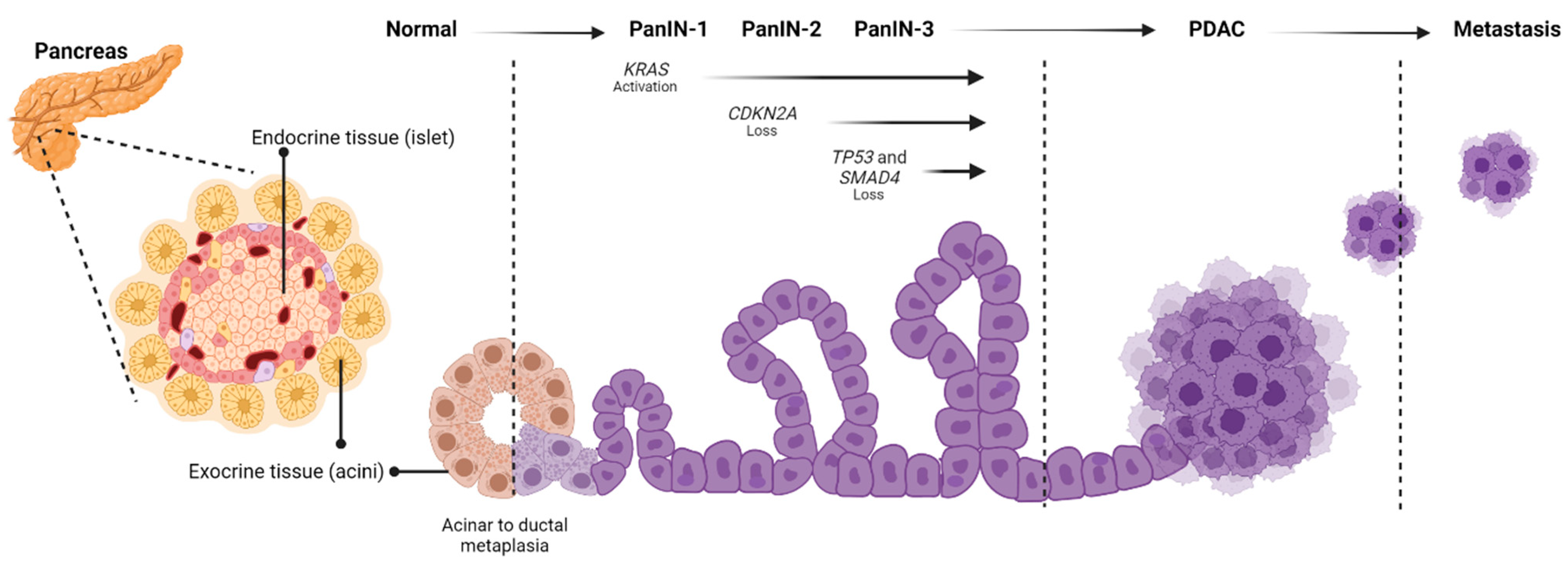 Cancers 15 02354 g001