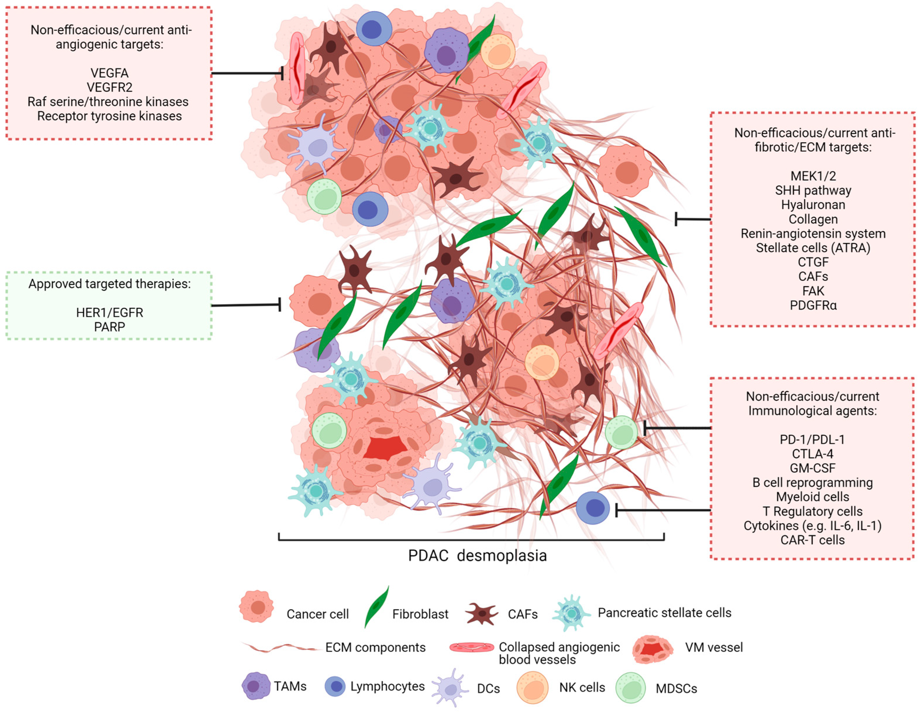 Cancers 15 02354 g002