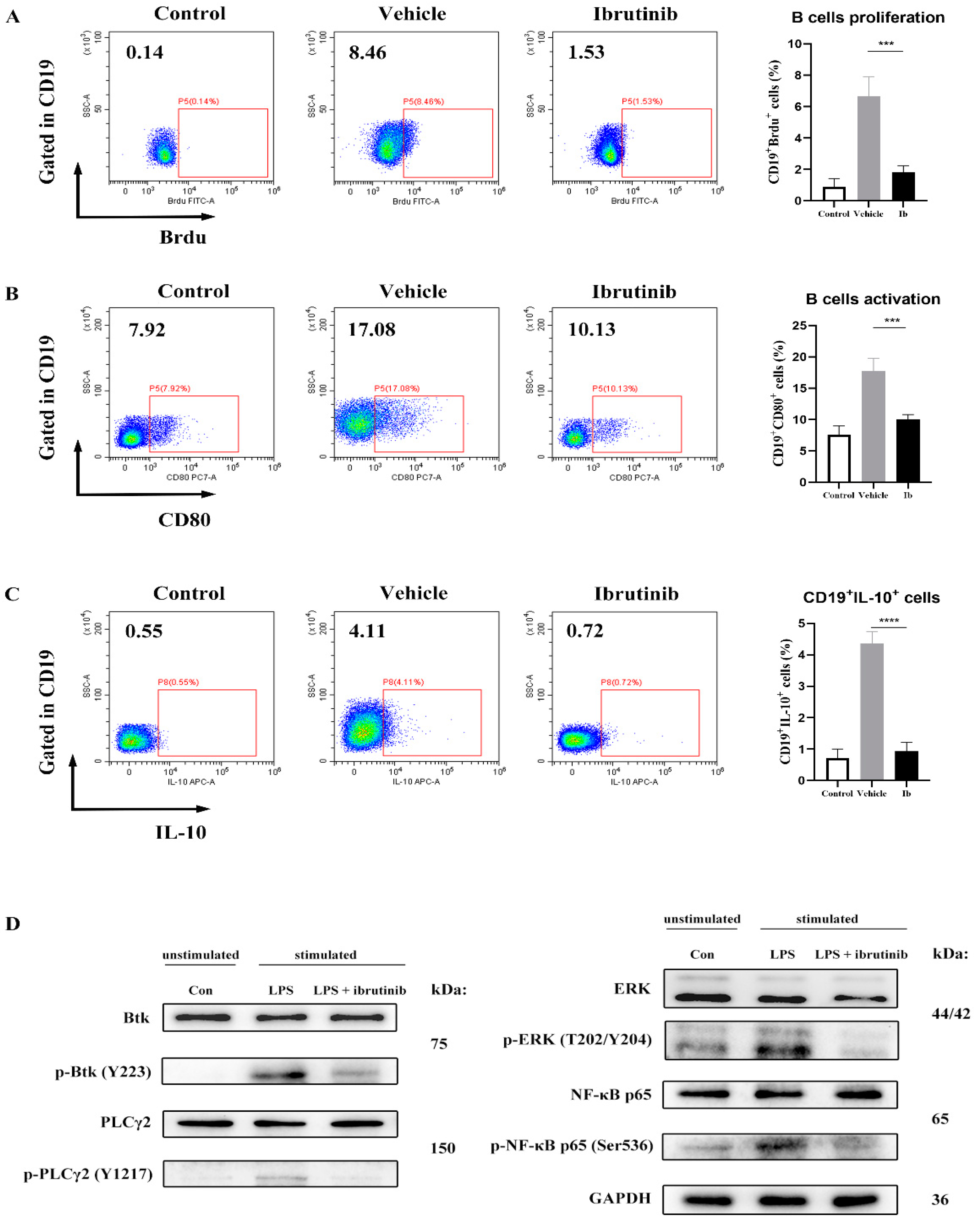 Cancers 15 02356 g002