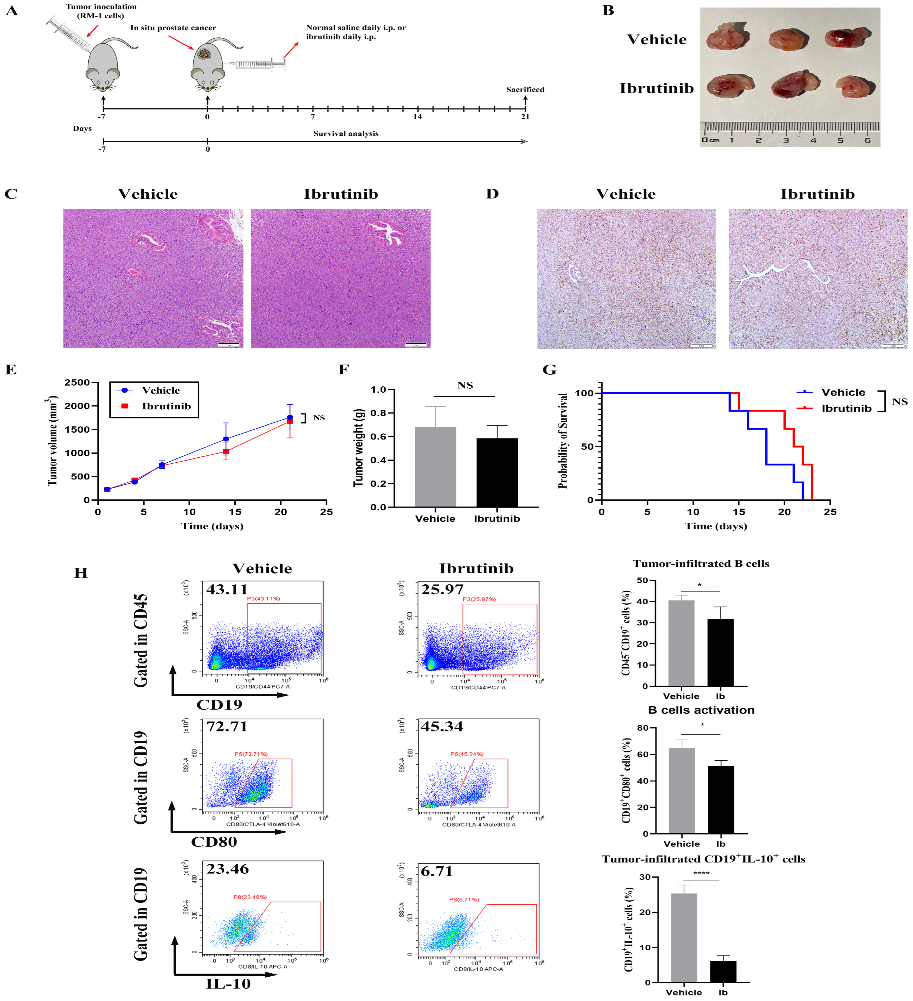 Cancers 15 02356 g003