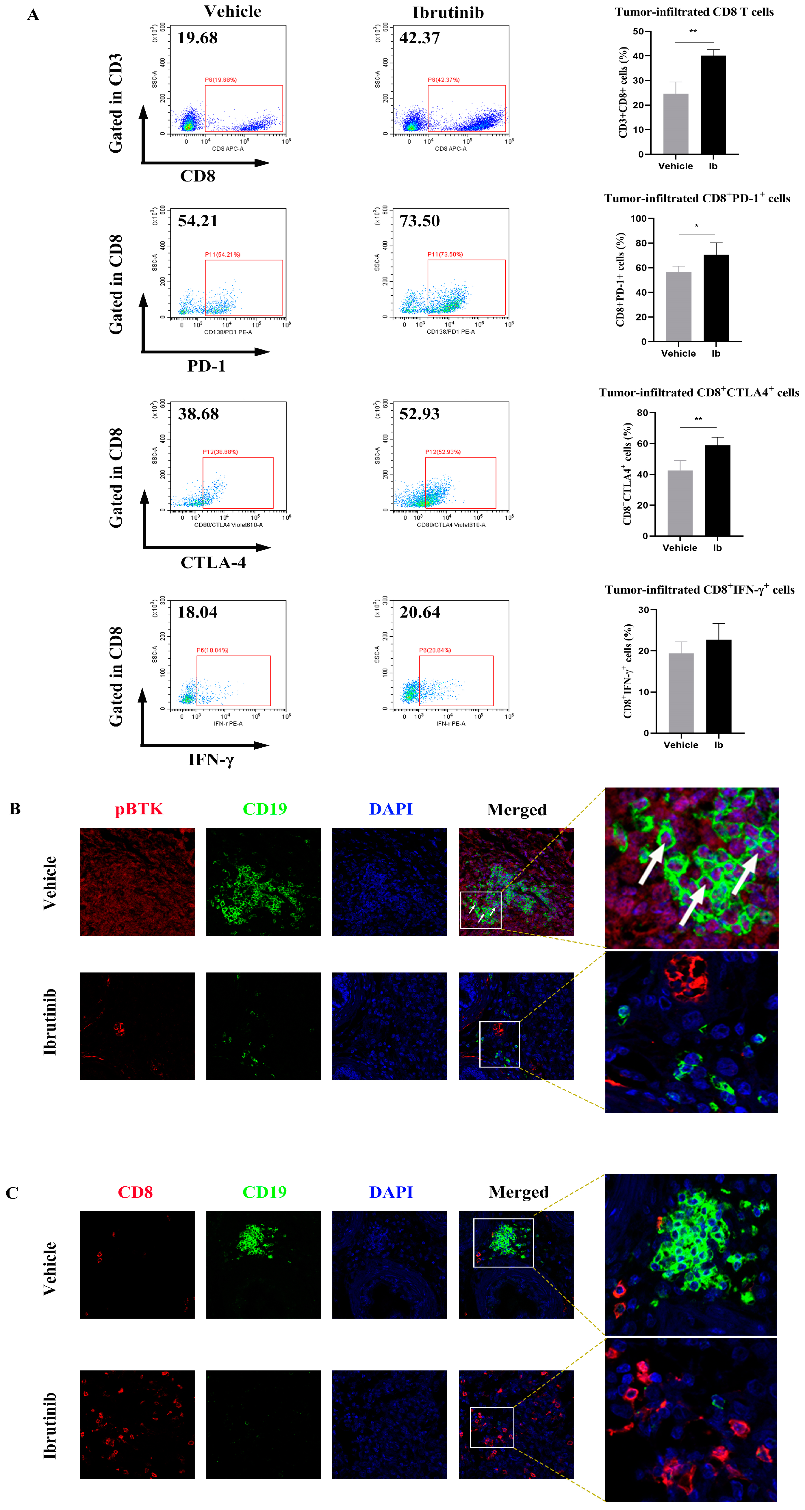Cancers 15 02356 g004